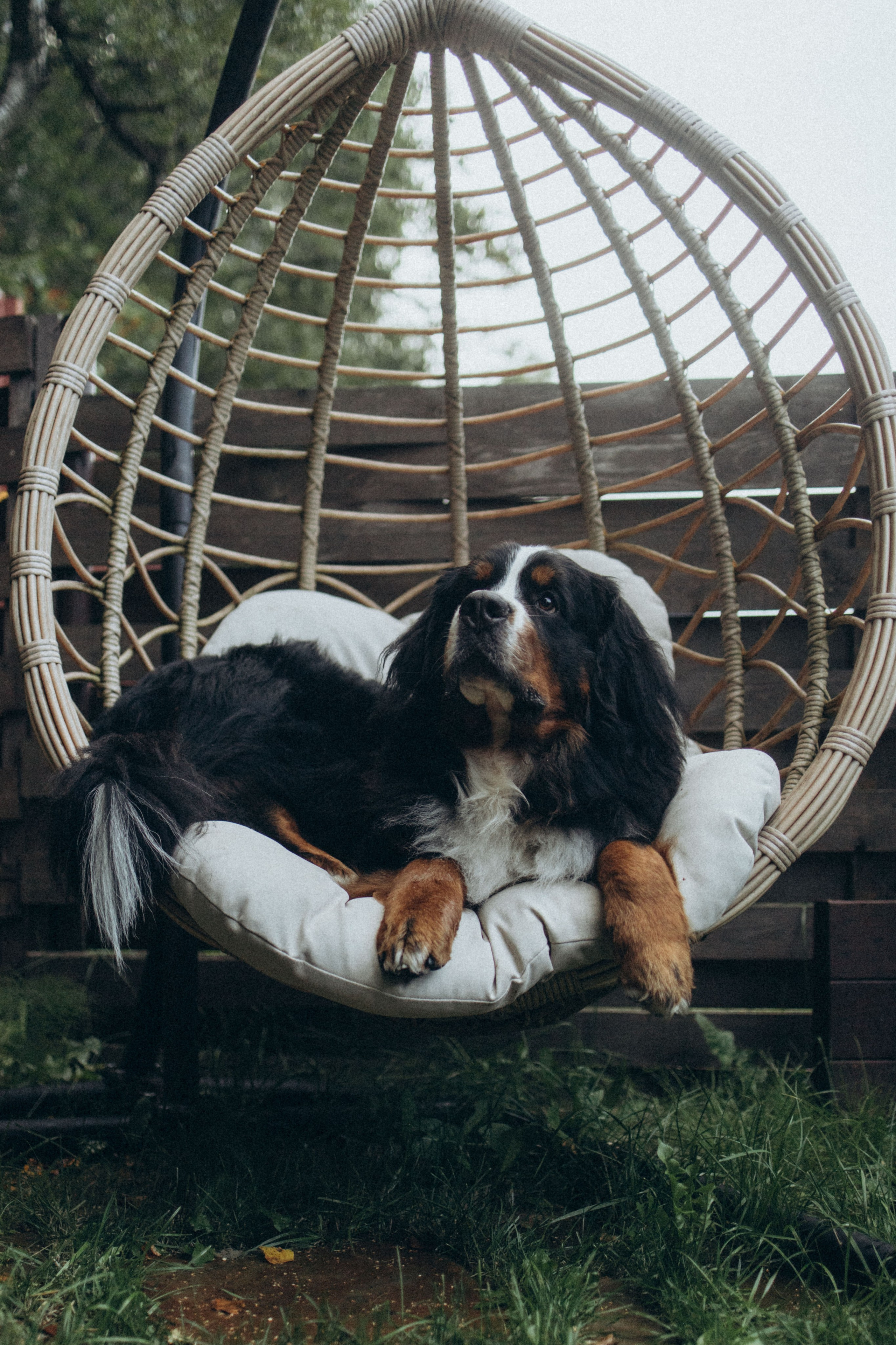 Таня и Тери