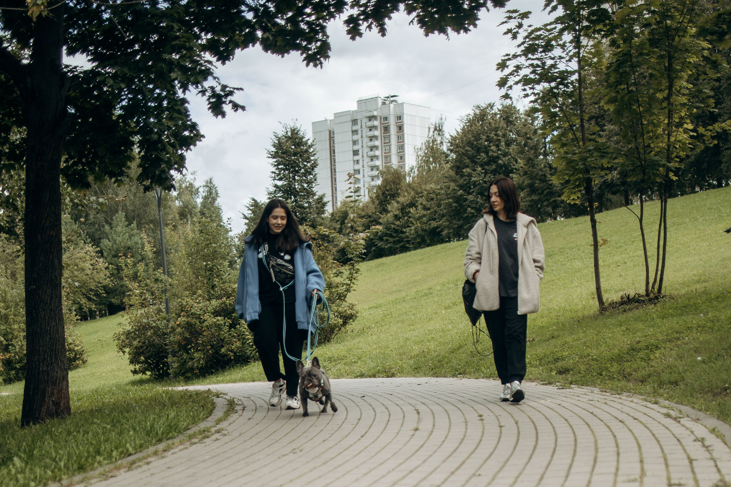 Грей и его семья