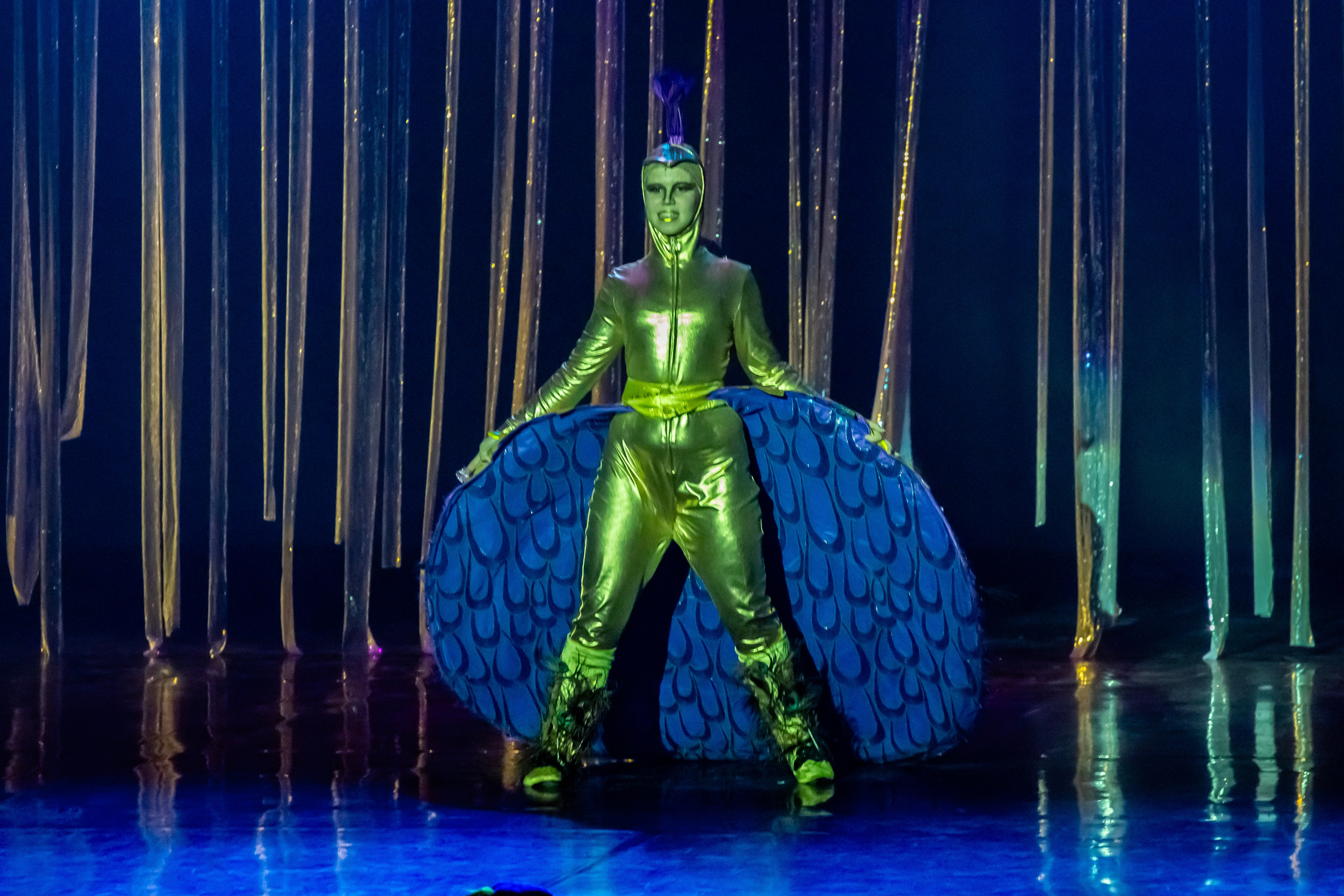 Мюзикл «Незнайка в царстве малюток» премьера Сочи солнышки и Сочи Соло. Фотограф в Сочи Юрий Шептаев