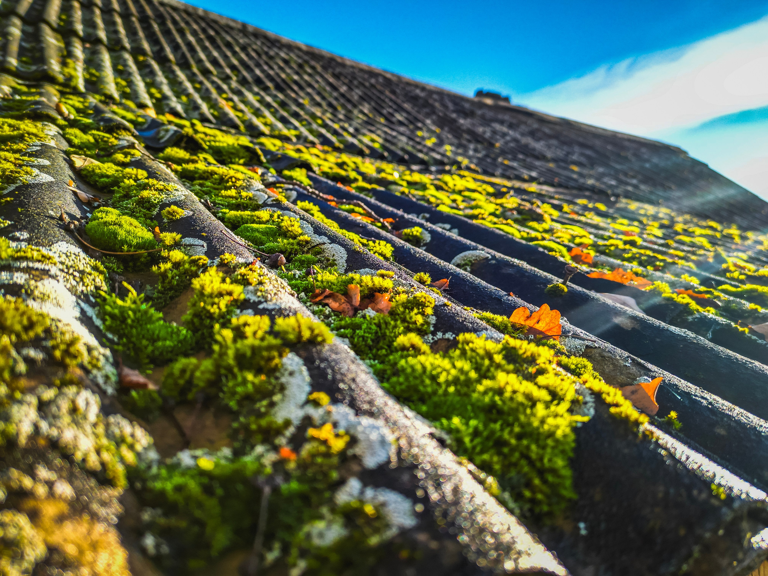 Дом на продажу № 1. DRONBERRY — Аэросъемка Ярославль