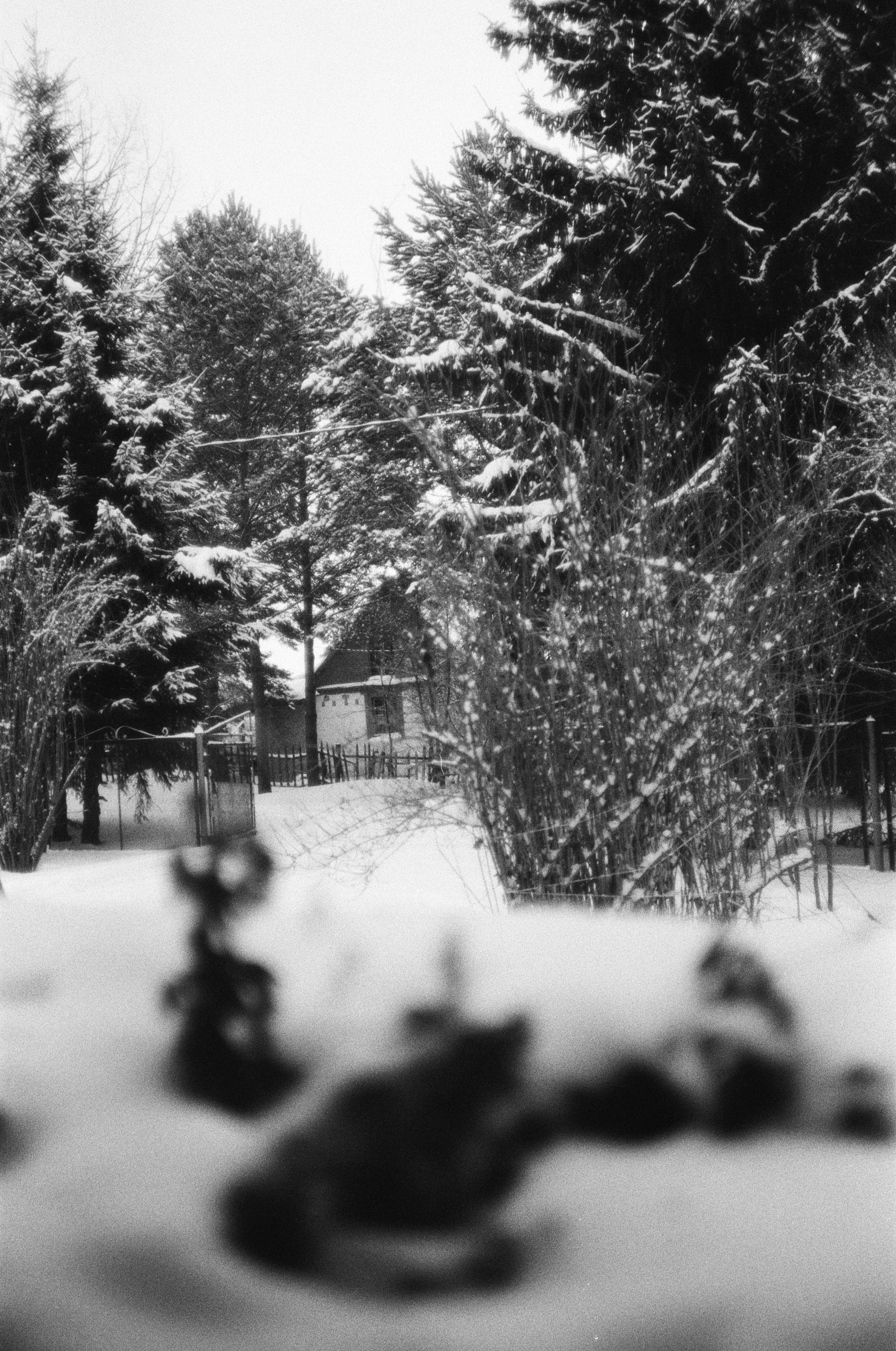 Автор: Саша Серебровская