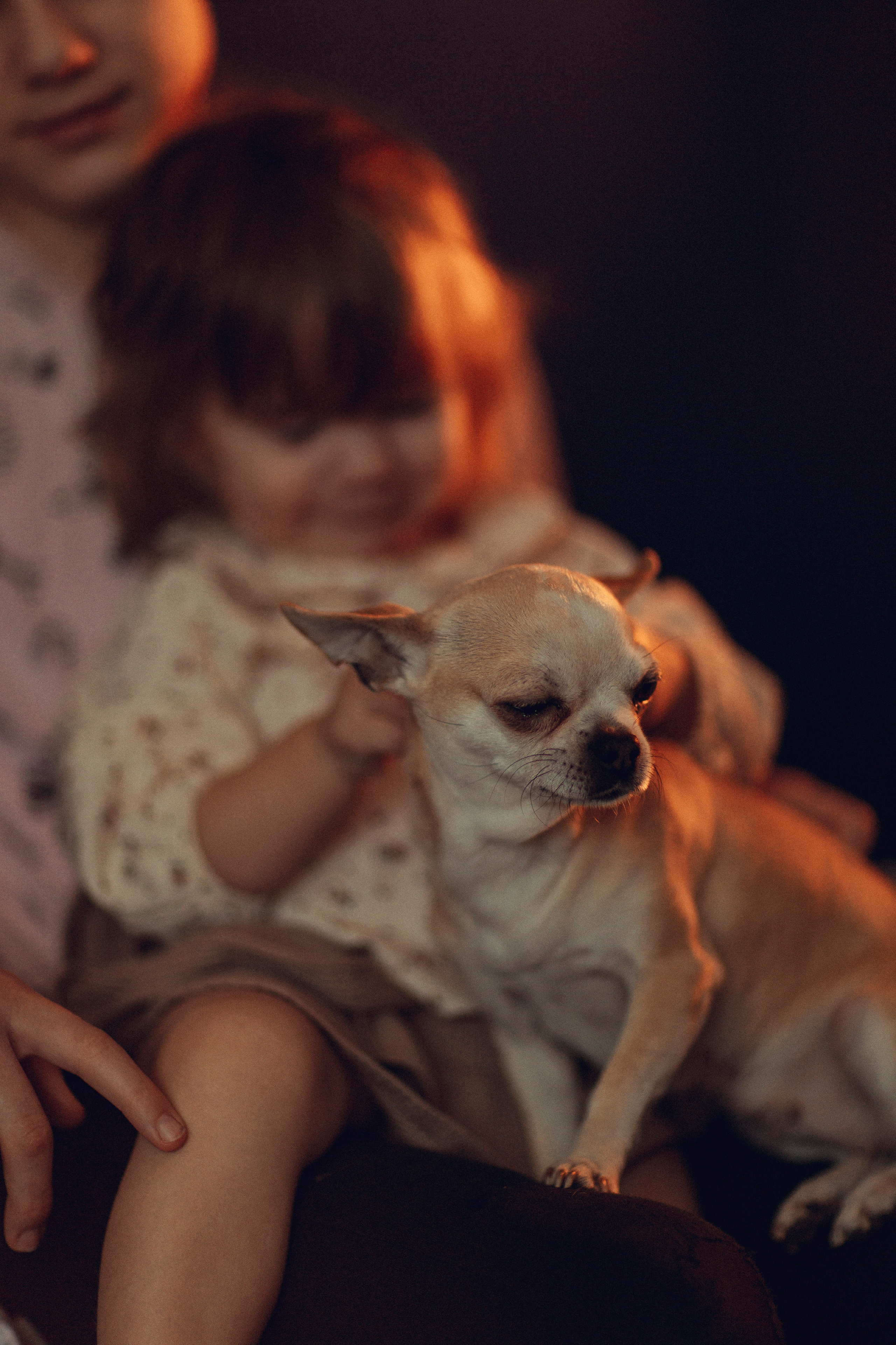 Семейные ценности. Детский и семейный фотограф в Рыбинске Юлия Дмитриева