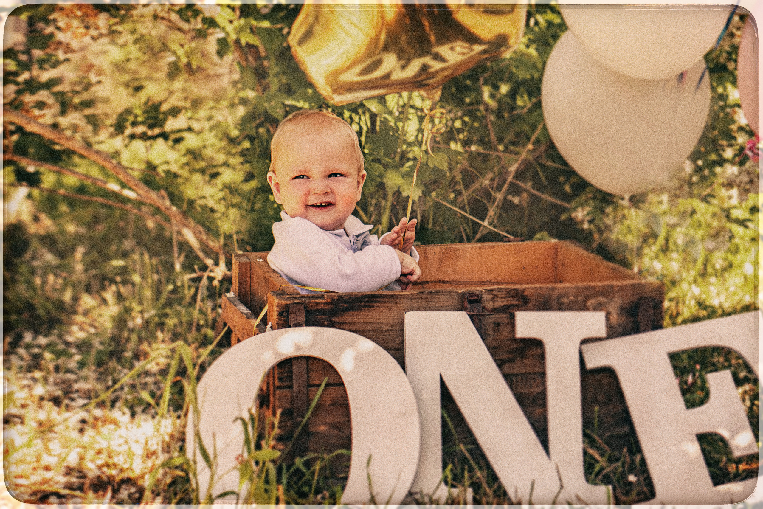 Годик Алисы и Максима. Детский и семейный фотограф в Рыбинске Юлия Дмитриева
