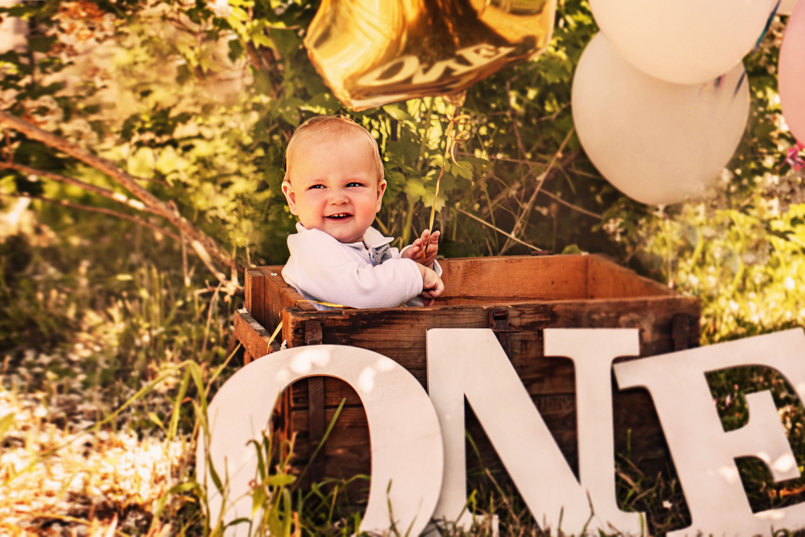 Годик Алисы и Максима. Детский и семейный фотограф в Рыбинске Юлия Дмитриева
