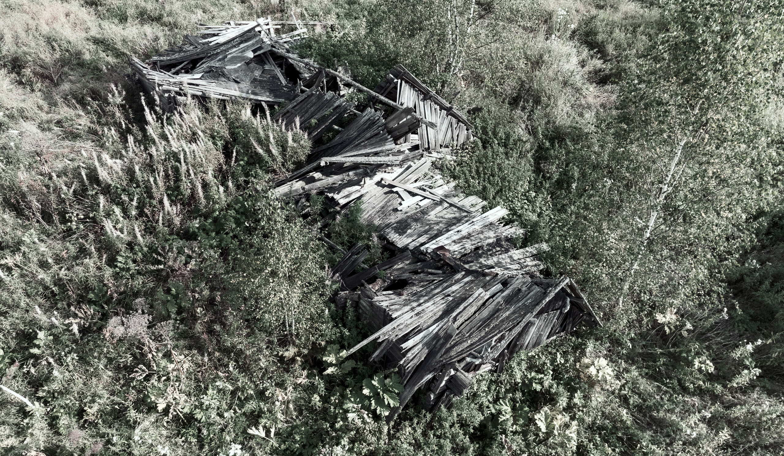 Природа. Фотограф Александр Тихонов