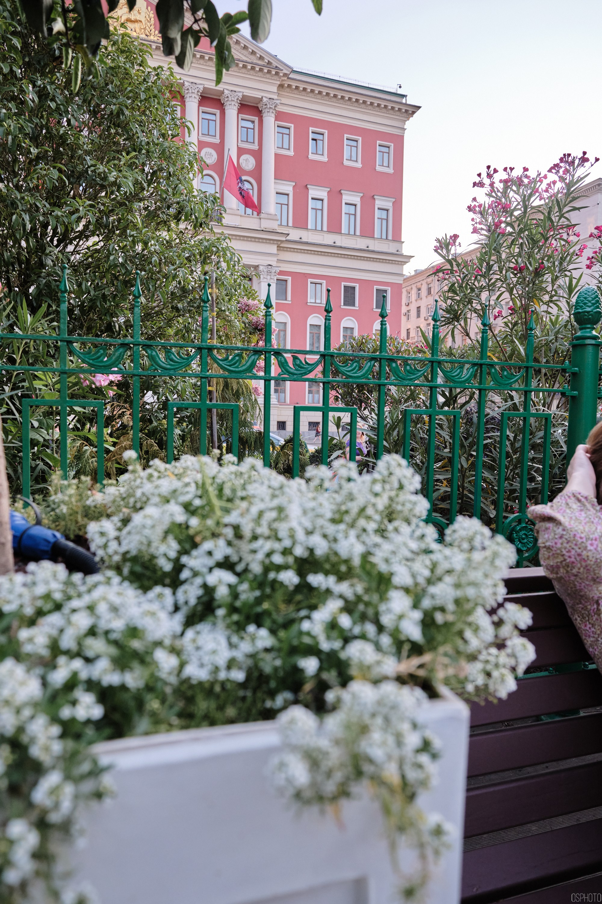Бульвары для всех l Лето в Москве. Фотографъ Сергѣевъ. Поймать мгновеніе