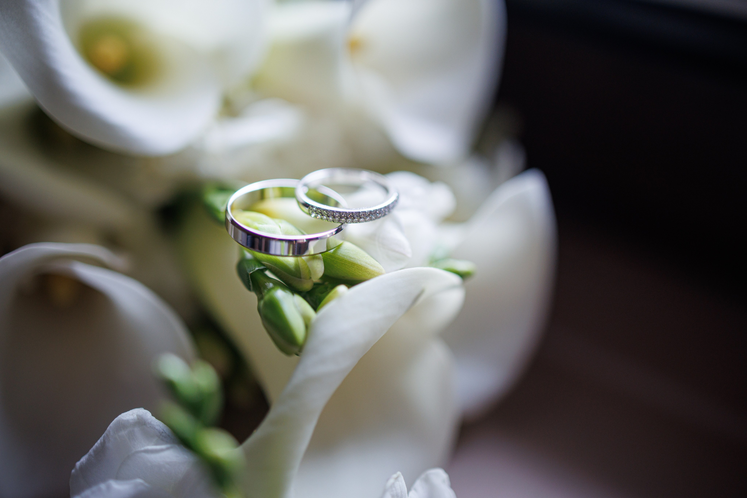 Таня и Артем парк Патриот. Марковкина КрисТина