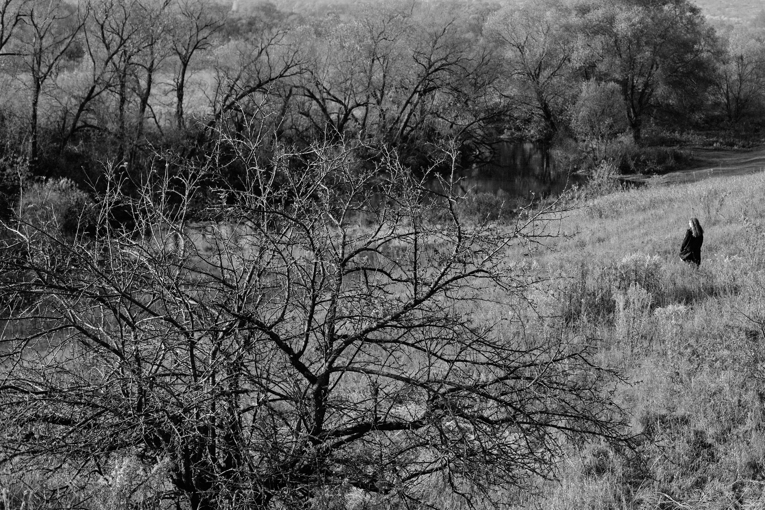 Васелина и Аркадий. Женский семейный фотограф Тула Москва Захарова Анна