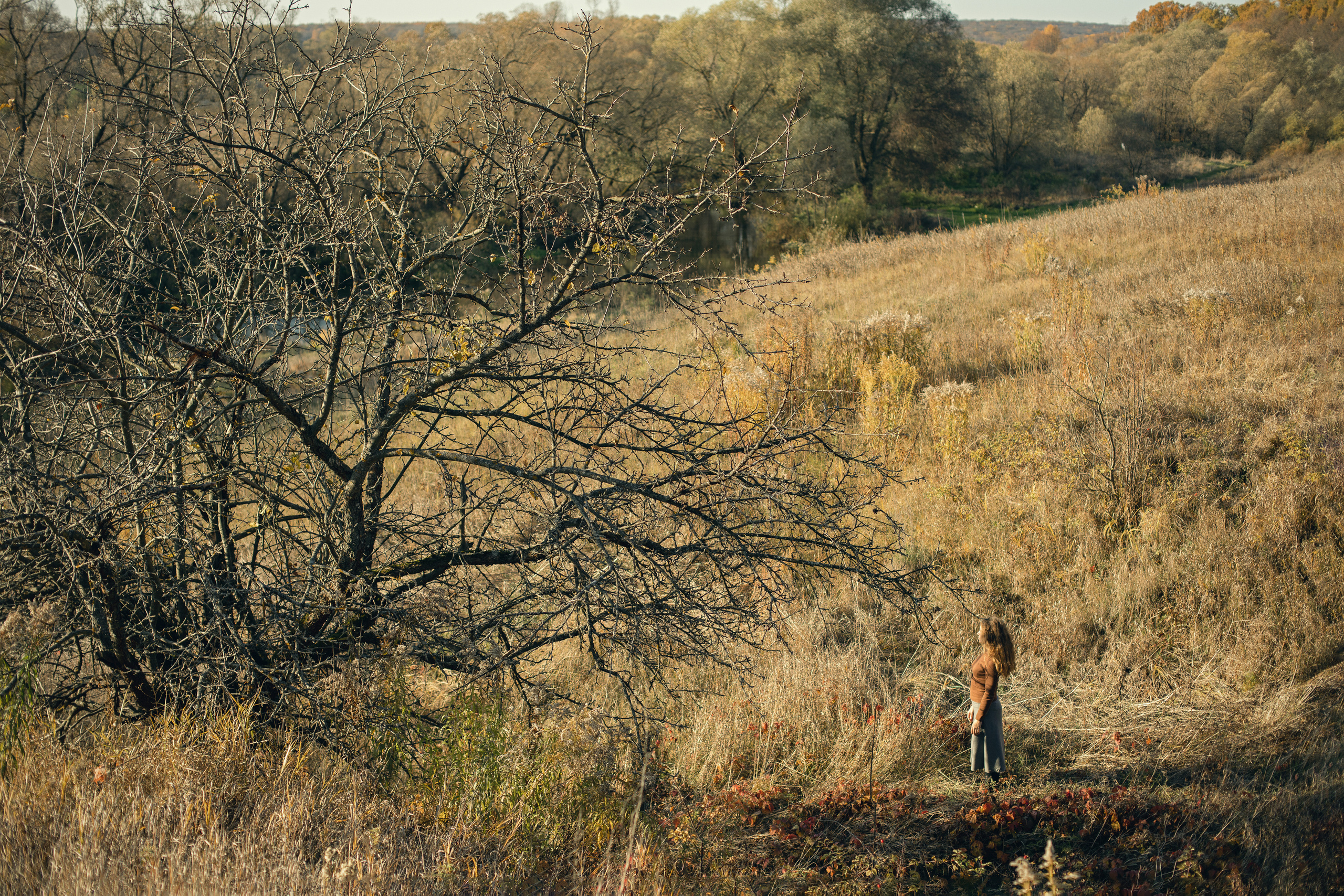 Васелина и Аркадий. Женский семейный фотограф Тула Москва Захарова Анна