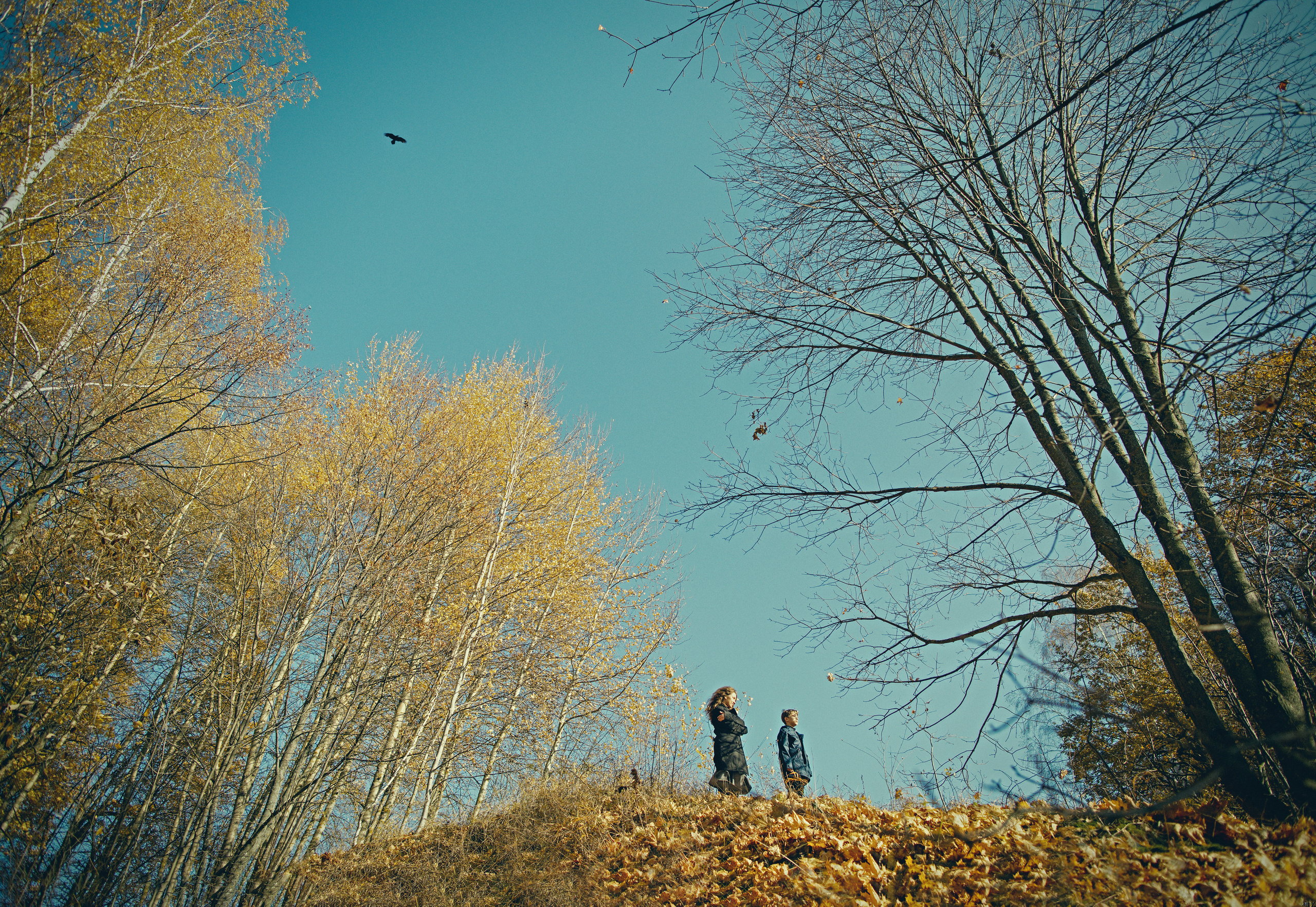 Васелина и Аркадий. Женский семейный фотограф Тула Москва Захарова Анна