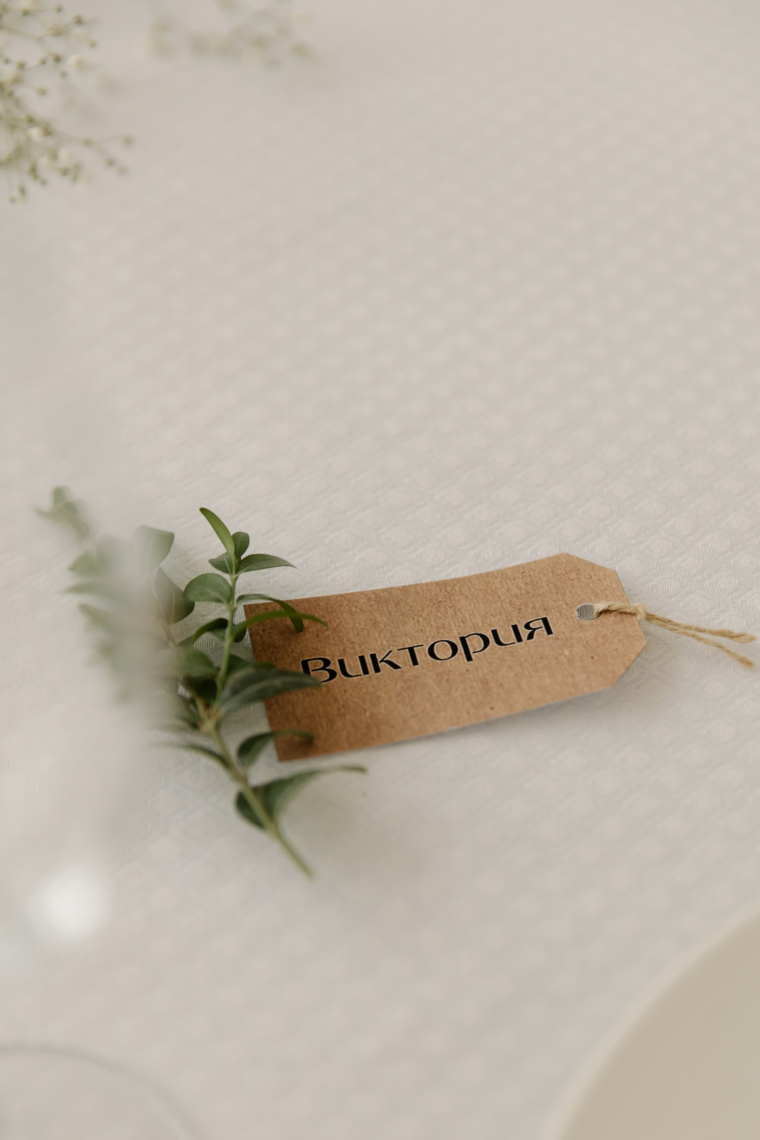 Вика и Никита свадьба в отеле Смолинопарк. СВАДЕБНЫЙ ФОТОГРАФ ЧЕЛЯБИНСК