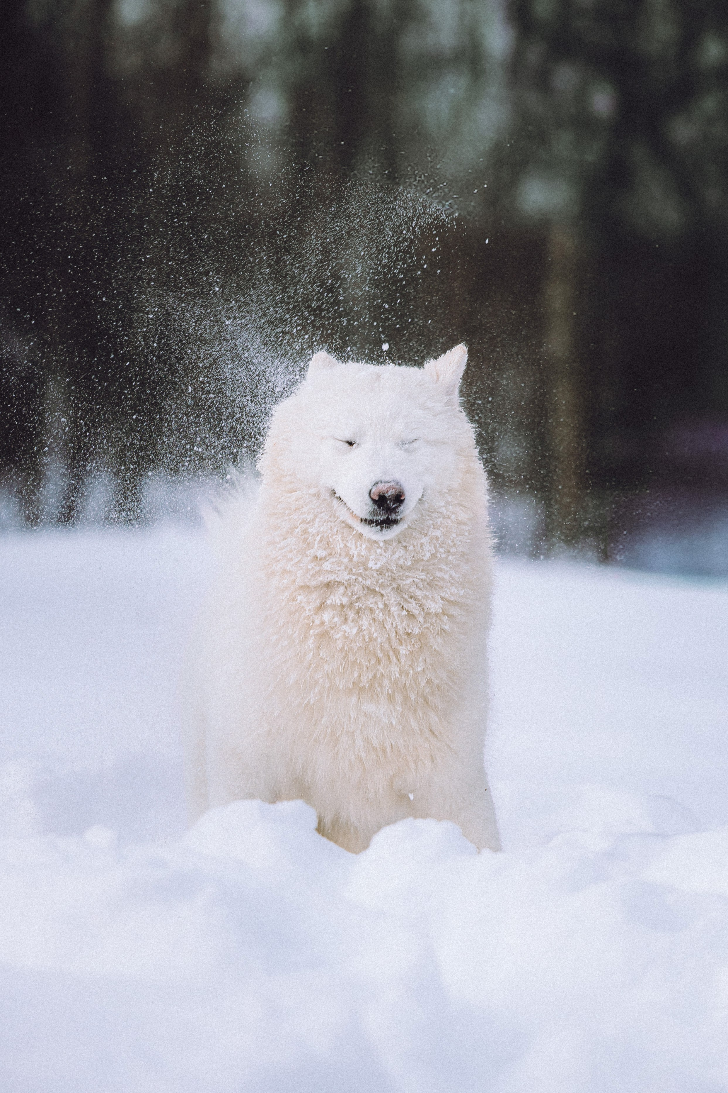 Мария и Мася