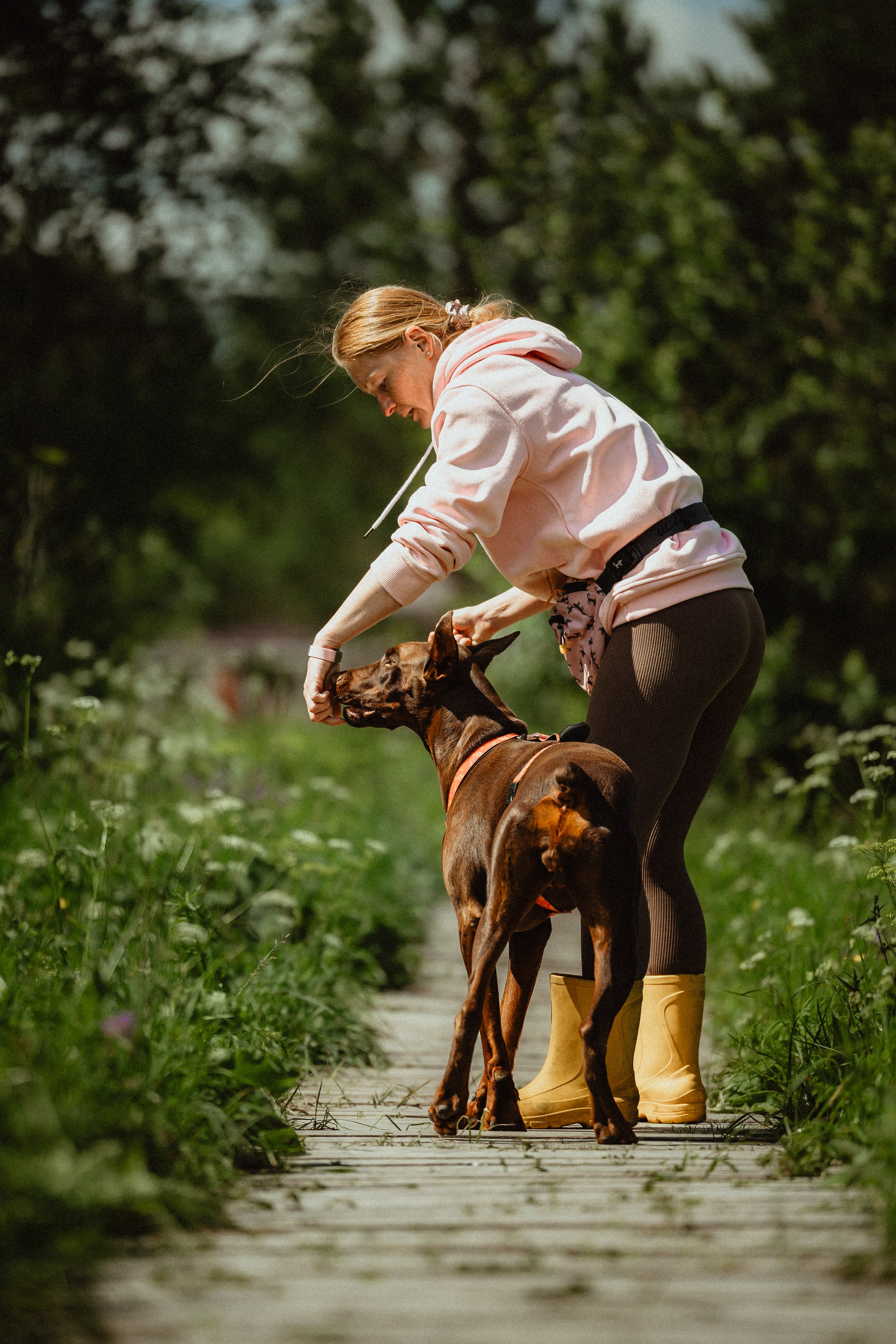 Выездной дог-тренинг от школы «Шерсть имею»