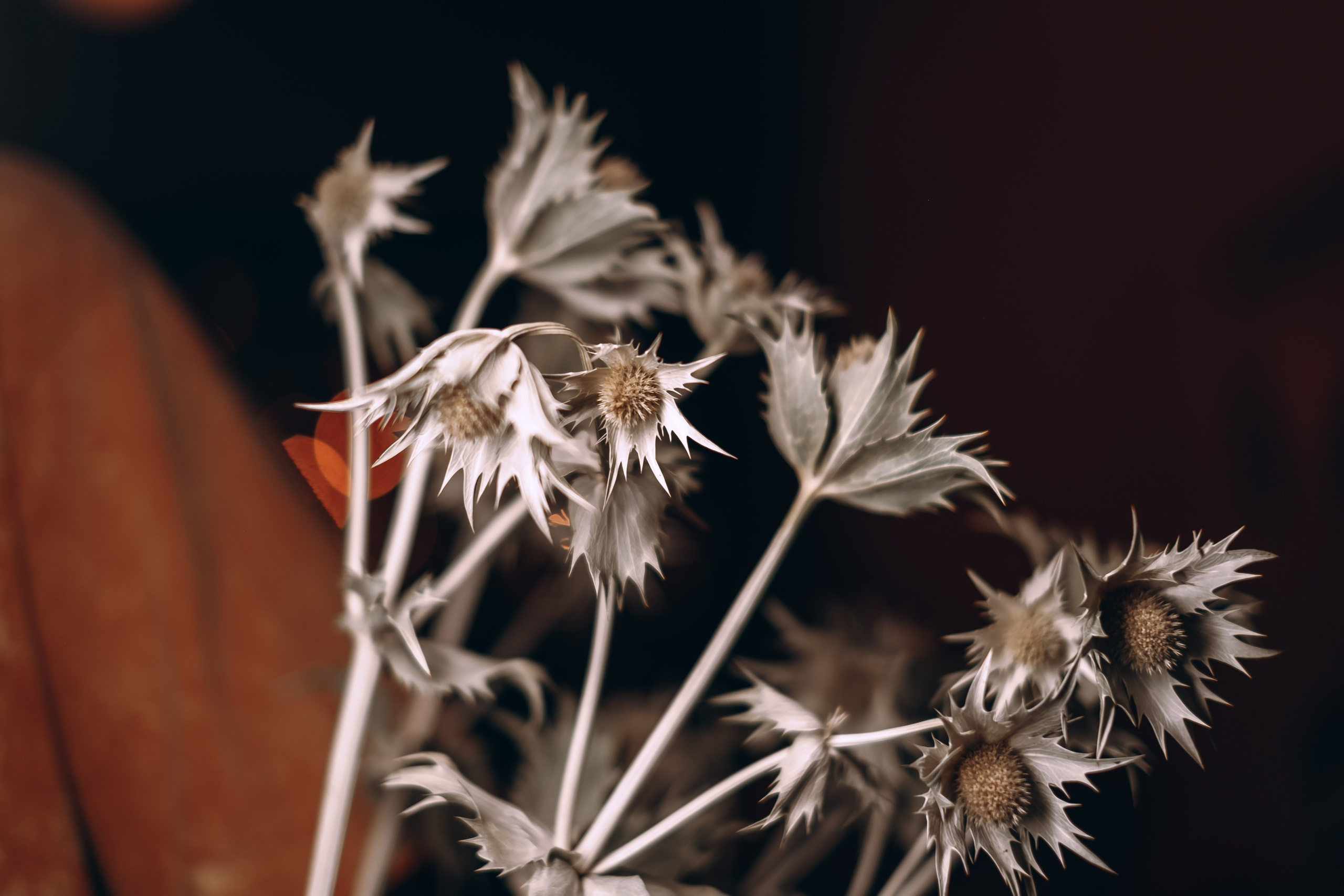 Один день лета | Альтер Эхо. Фотограф Аннё| Москва