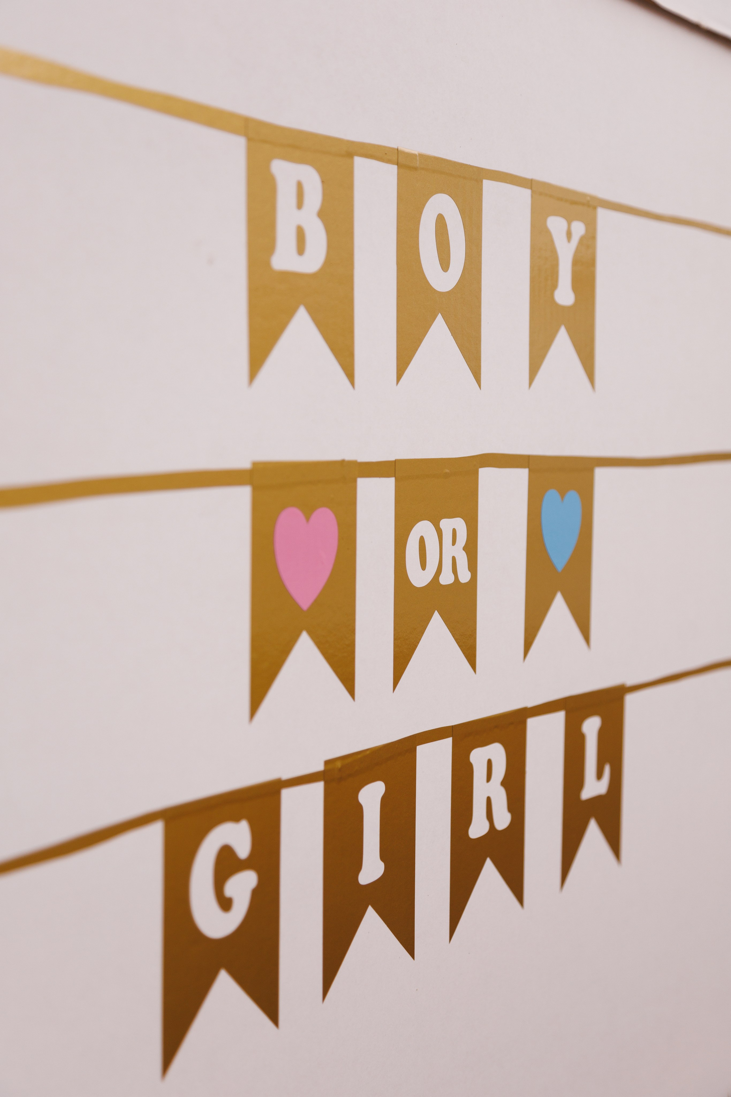 Гендер пати Артем и Марина. Анастасия, Фотограф женского портрета и беременности в стиле vogue