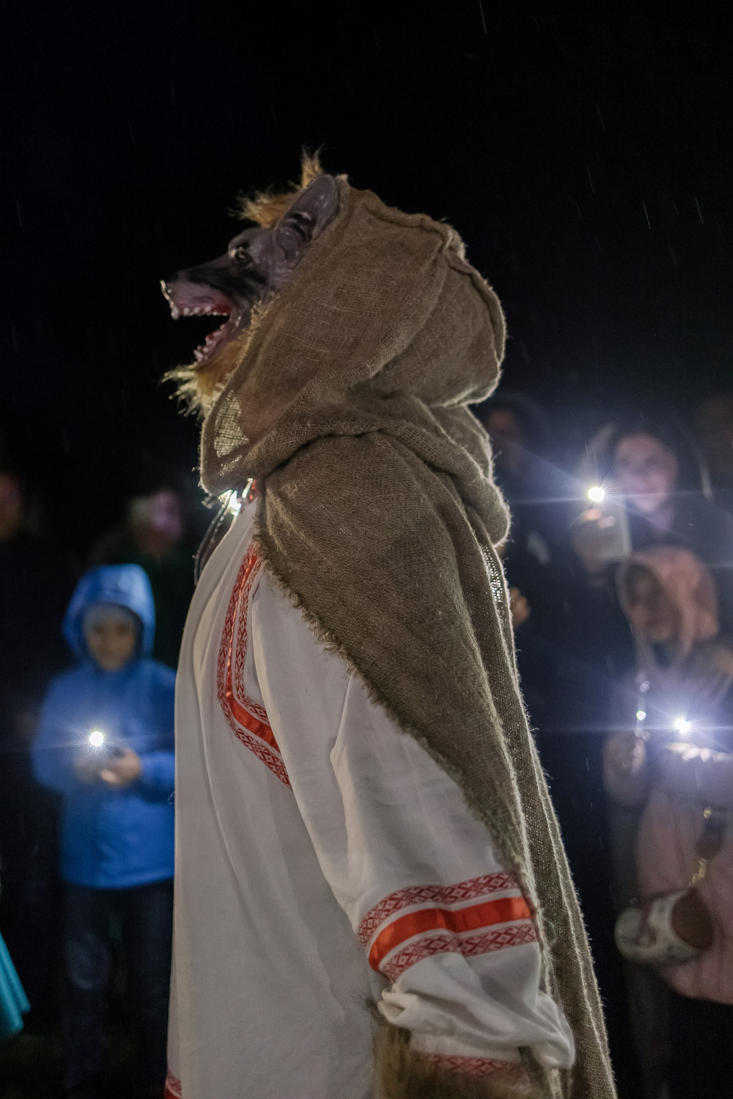 Ночь музеев Здравнево. Свадебный фотограф