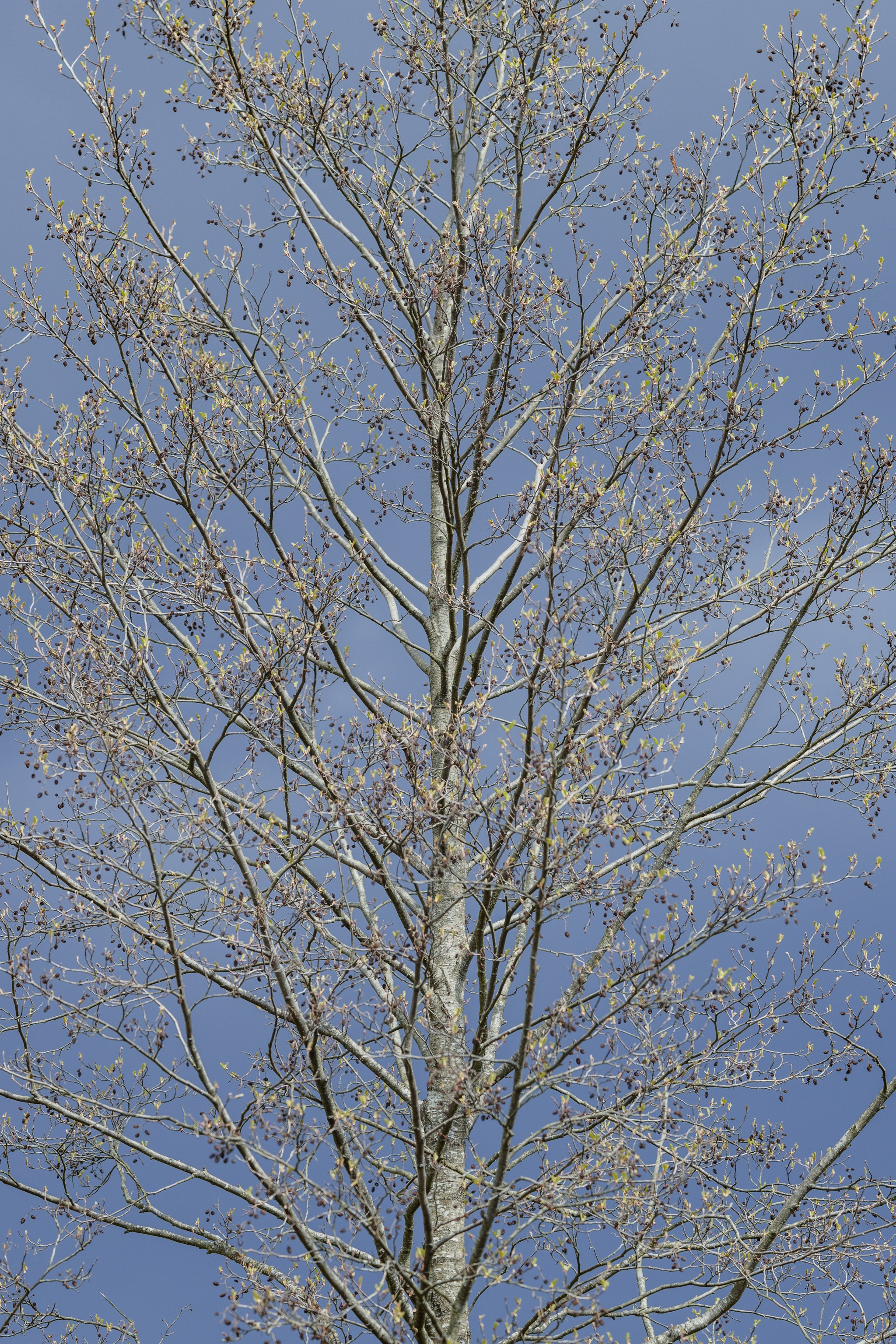 Водный поход 1-й кс по реке Случь. Репортажный фотограф Владимир Беляй