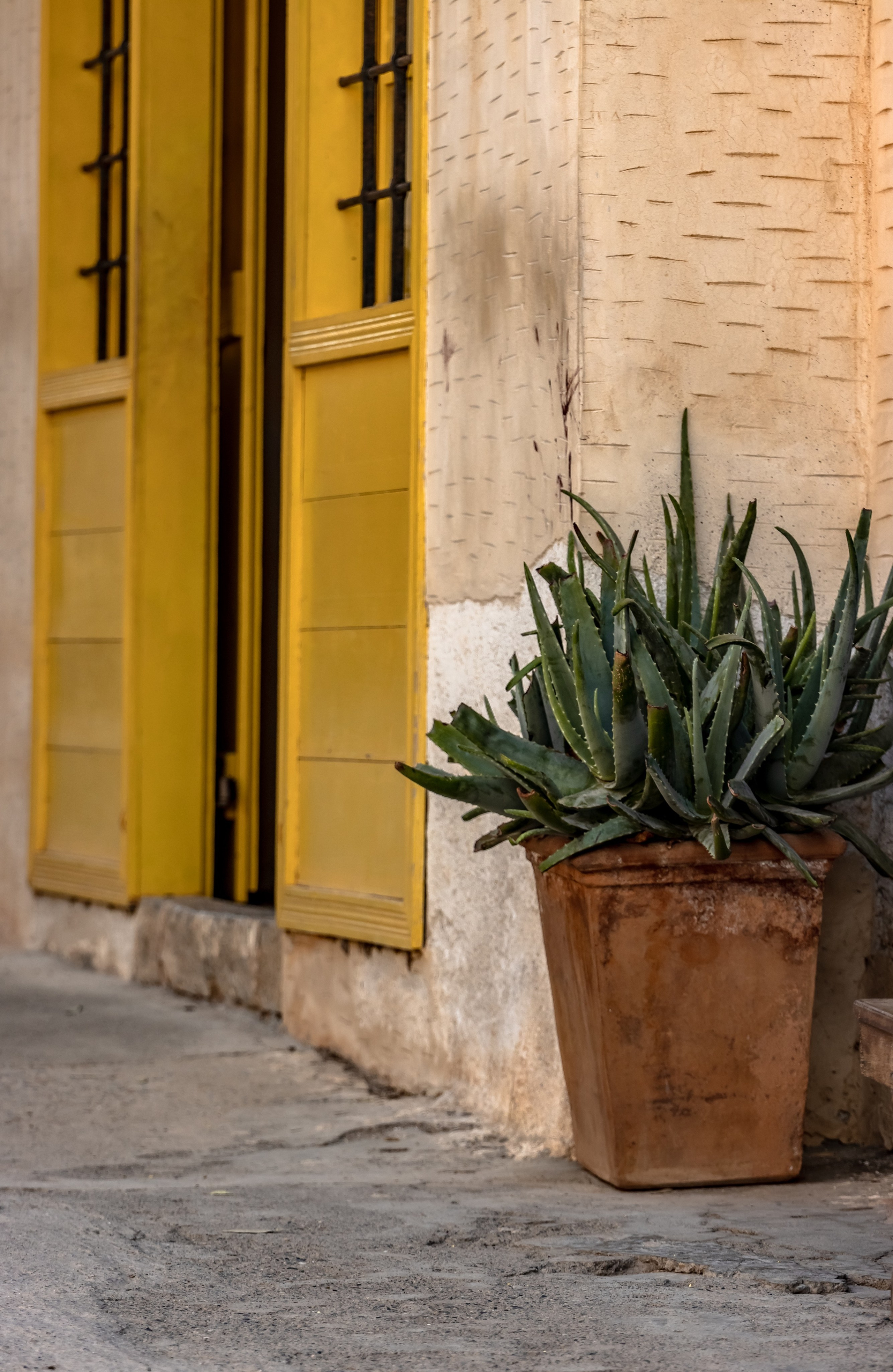 TRAVEL&NATURE. NE Cinema — backstage and reportage photography in cinema, music, Automotive and sport