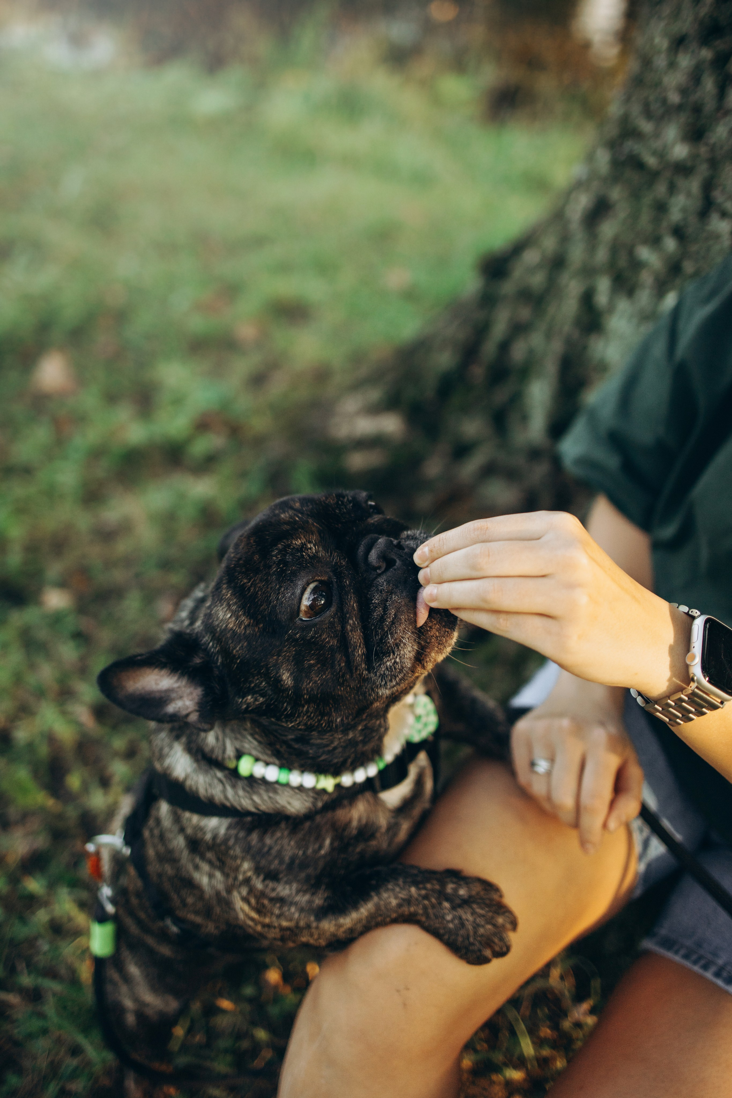 Олеся и Луи. Фотограф — Анималист | Санкт-Петербург