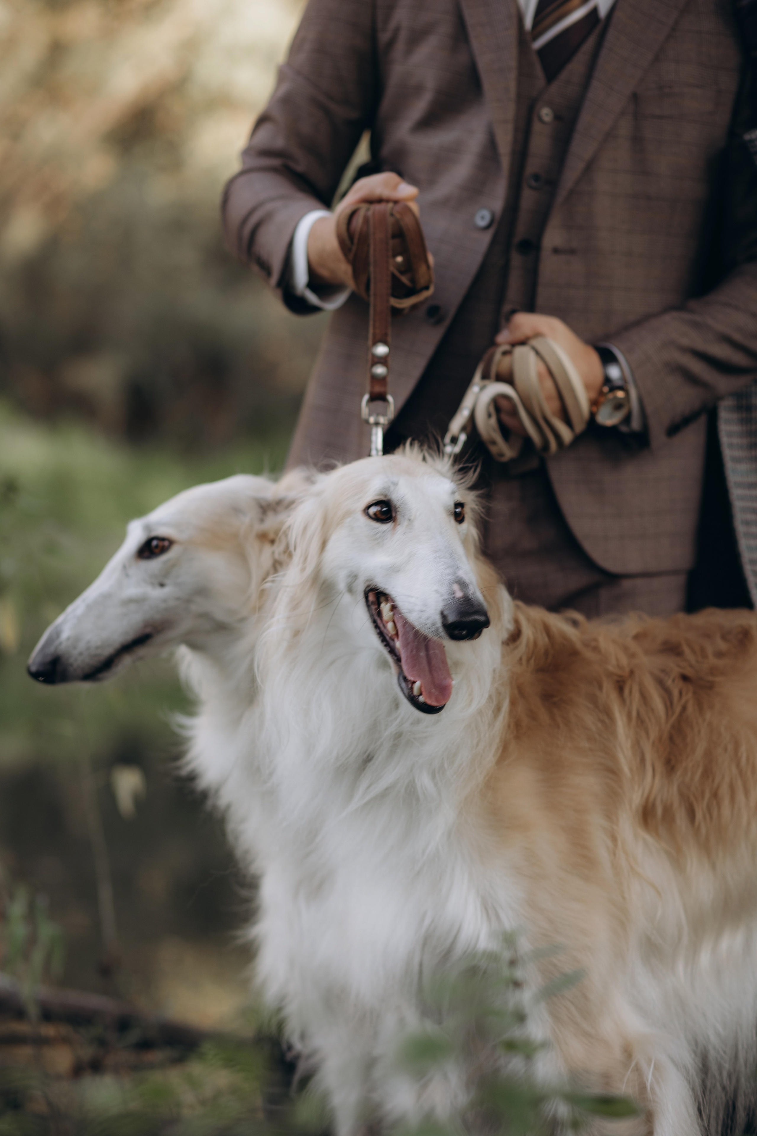 Прогулка в английском стиле. Фотограф Алина Ионычева в Новосибирске