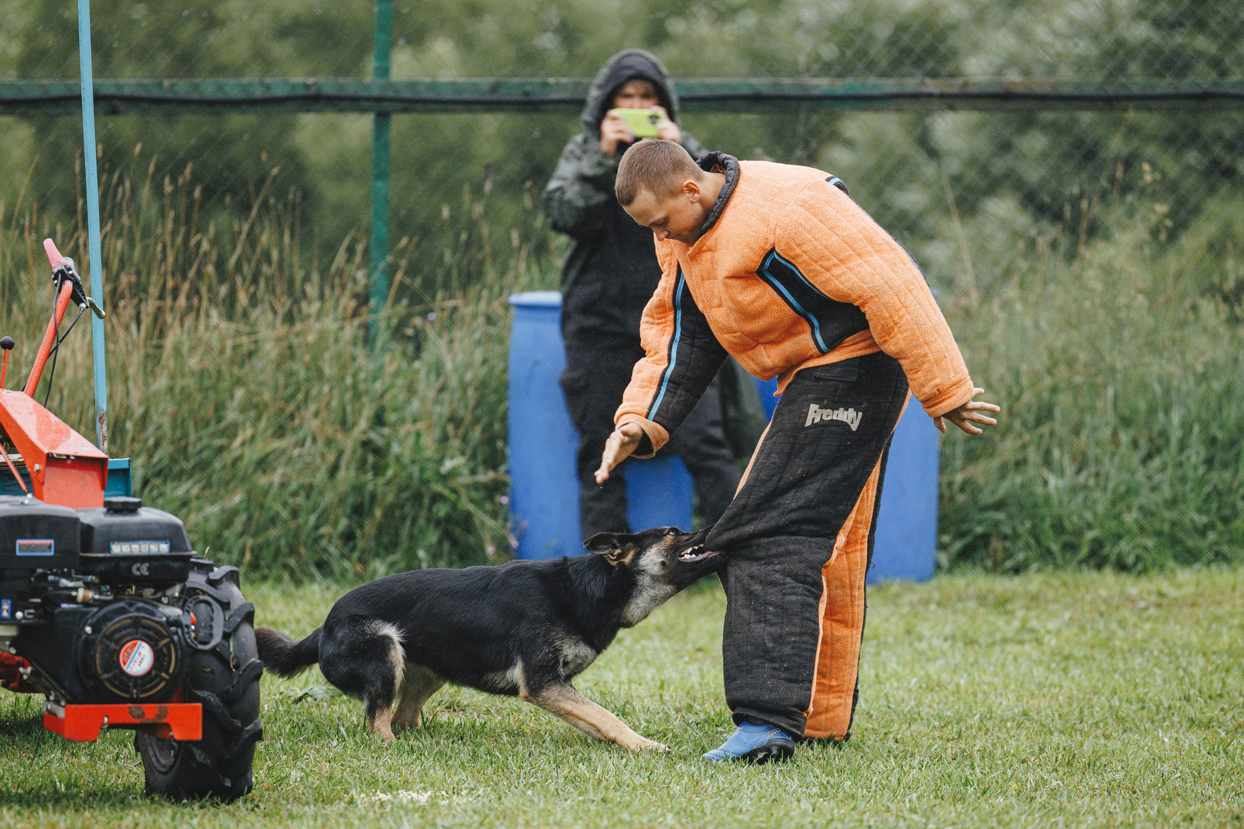08.08.25-10.08.25 ЧР по мондьорингу г. Вологда. Фотограф-анималист Анна Маринич