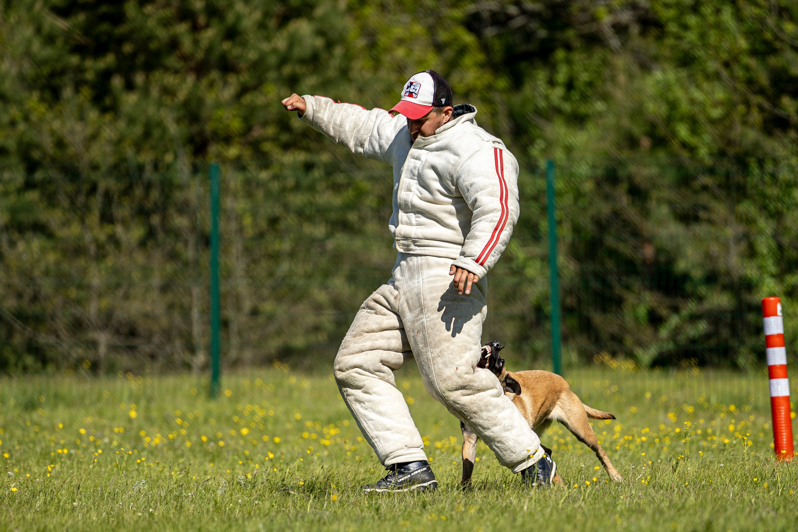 Испытания по мондьорингу в Нижнем Новгороде. Фотограф-анималист Анна Маринич