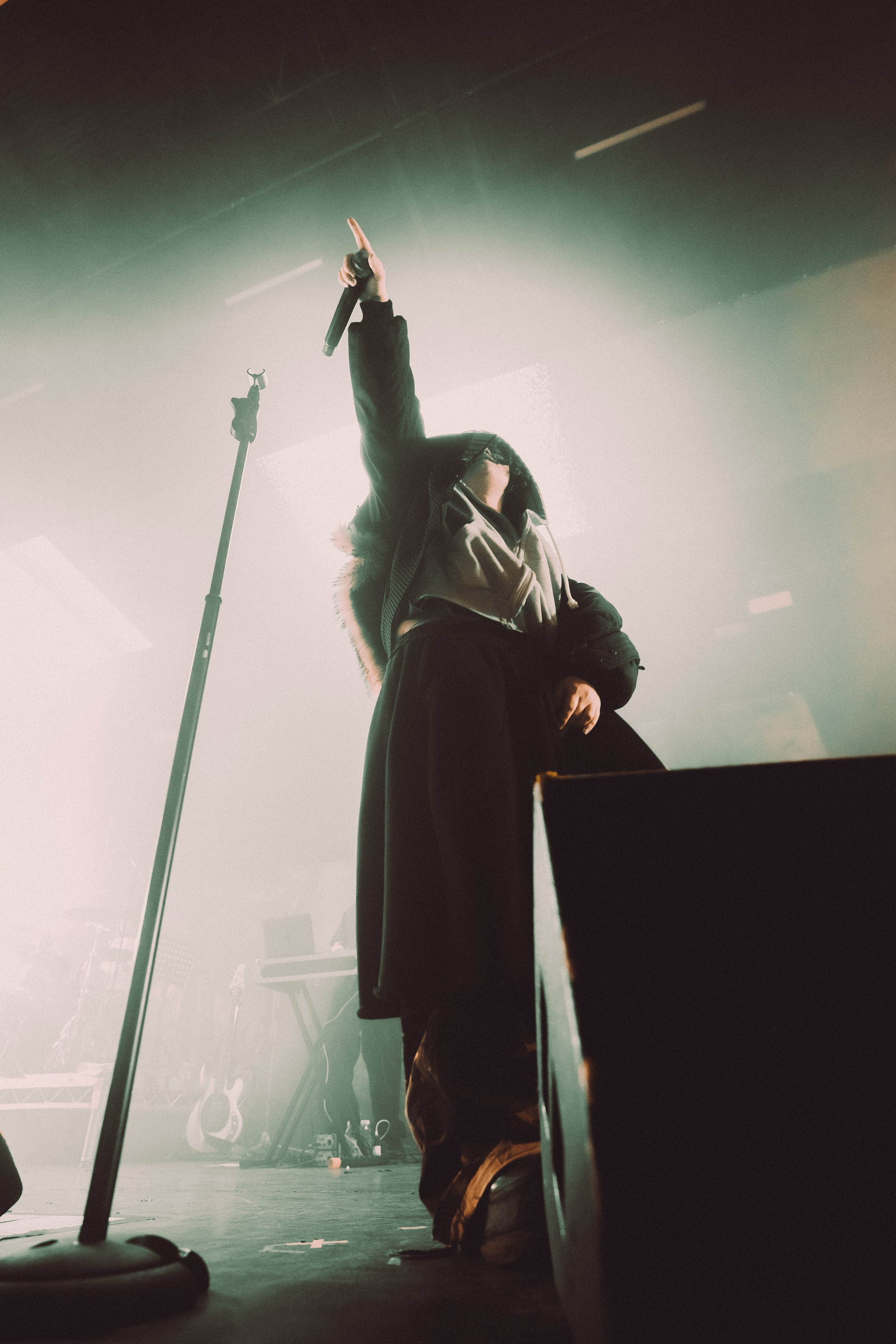 SALUKI. PASHAHARCE PHOTOGRAPHER & VIDEOGRAPHER