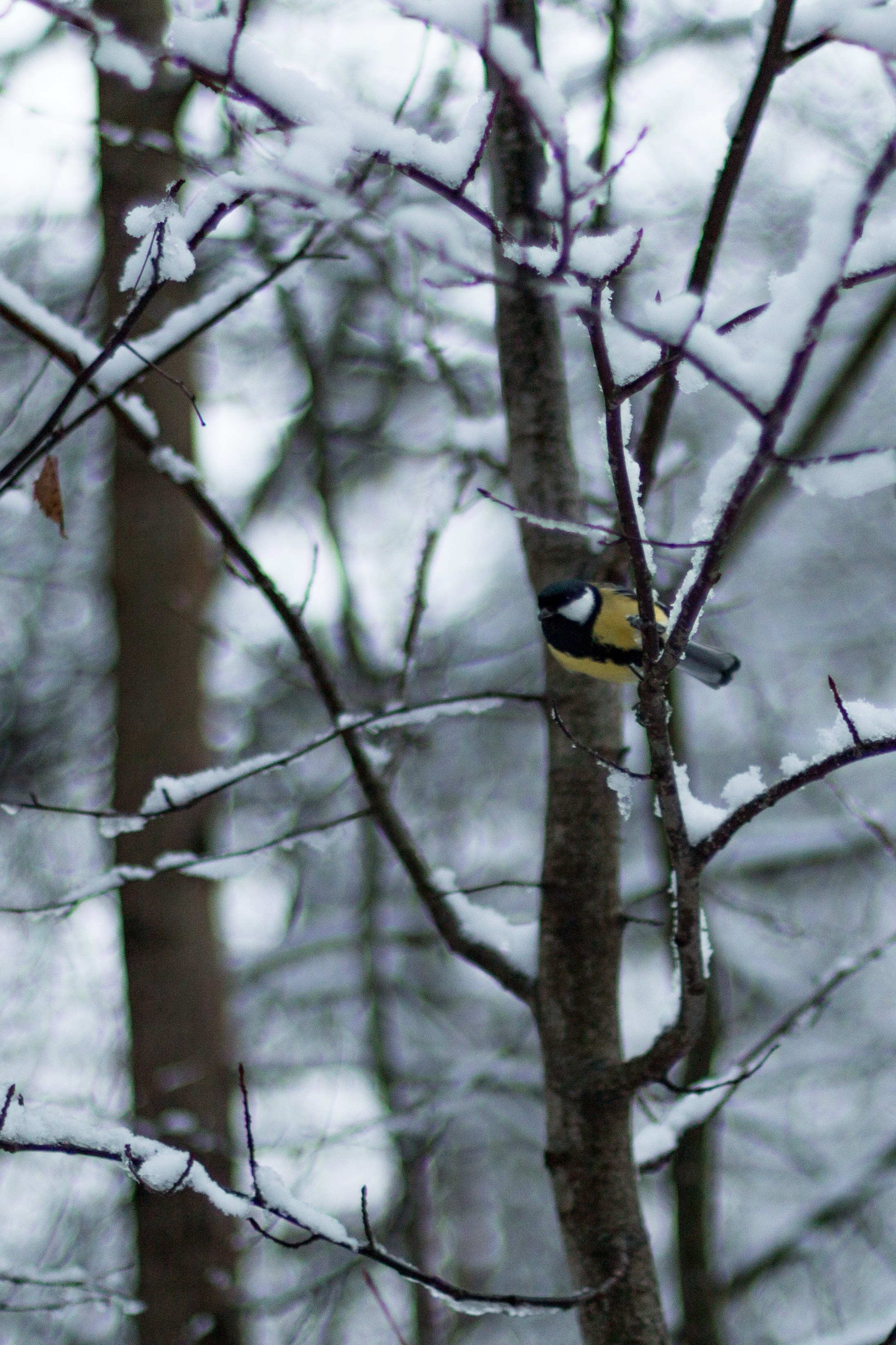 Русский север, Белое море, Архангельск. Фотограф в Сочи