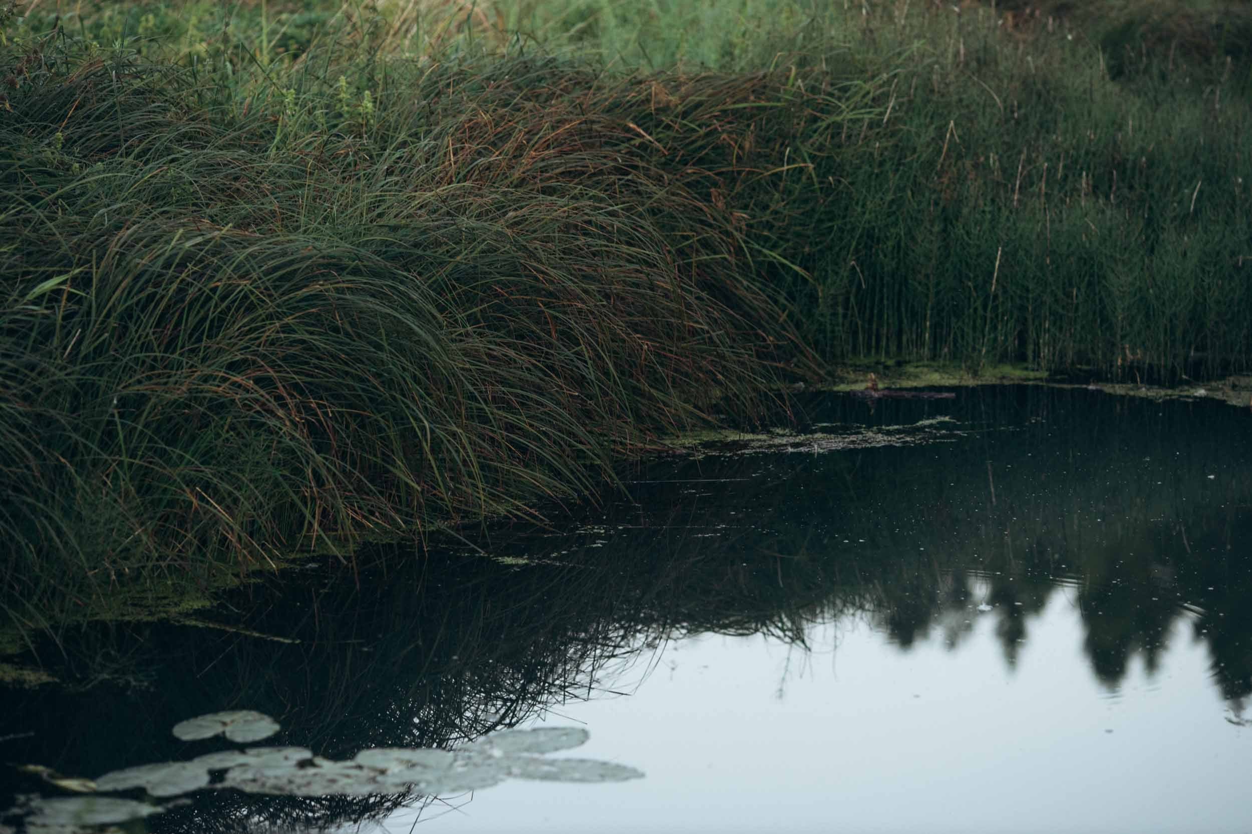Природные пейзажи. Наталия Клевинскас портретный фотограф в Костроме