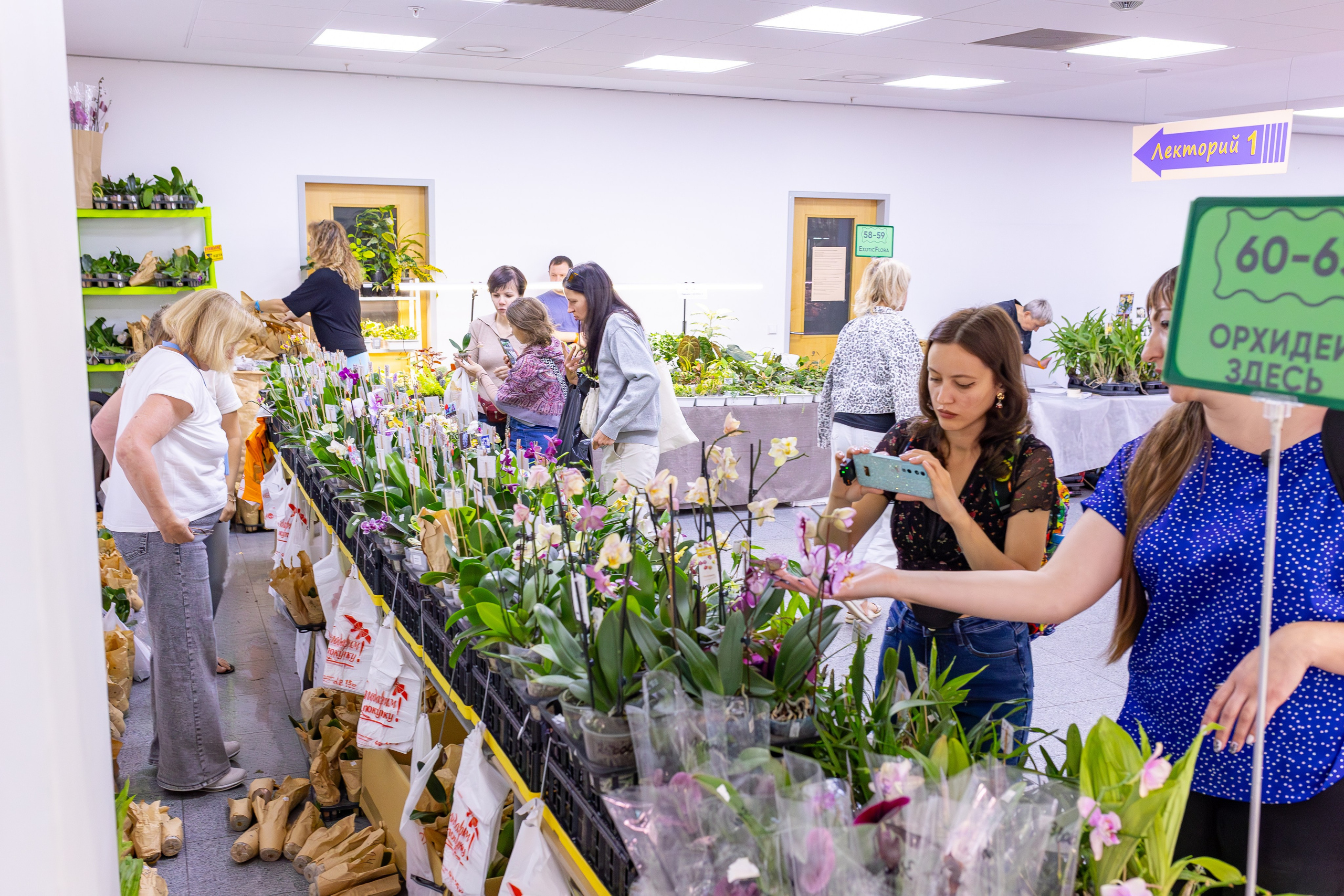 Орхидиум сентябрь 2025. Александра Куликова фотограф, Москва