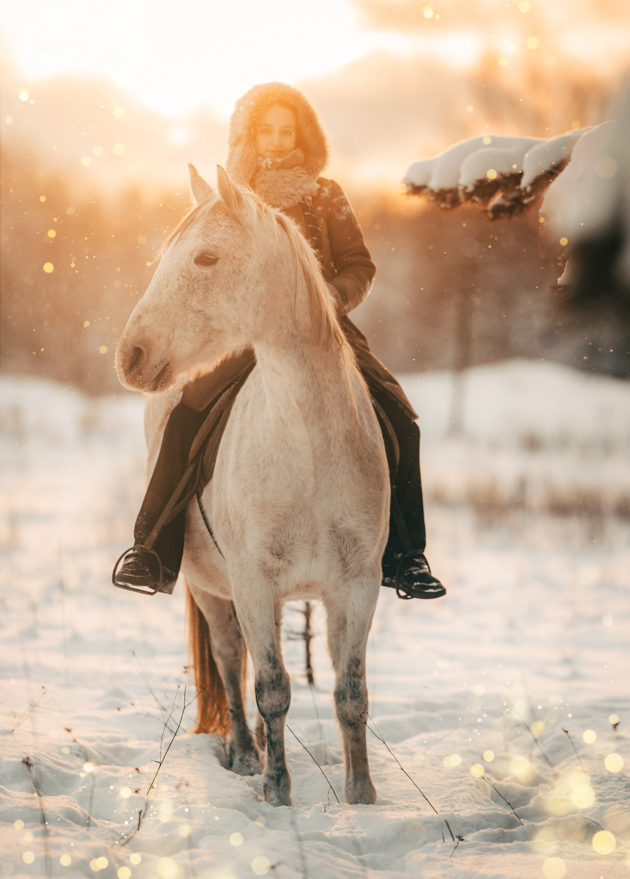 Фотограф Варвара Ермоленко