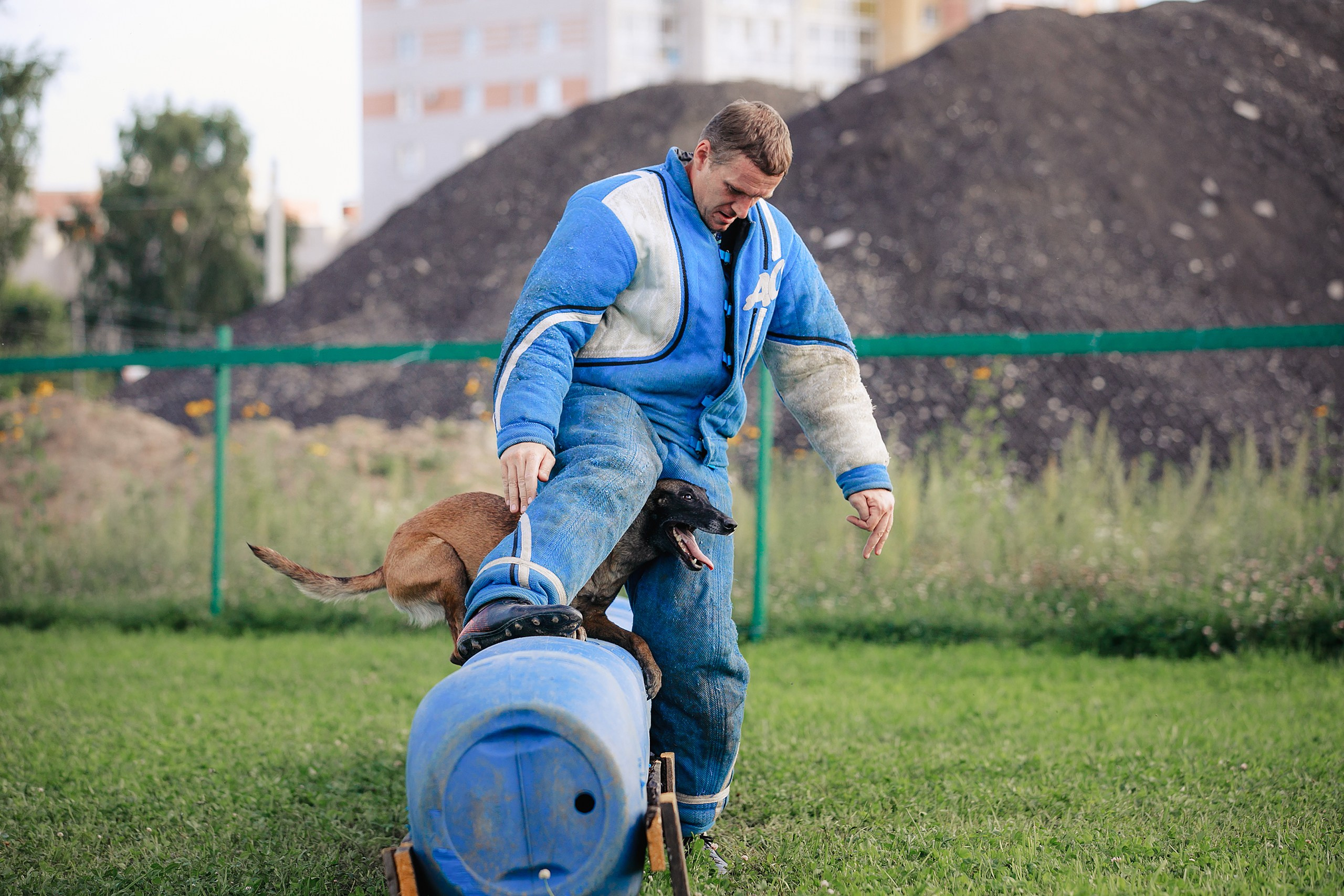 Мондьоринг М1, М2, М3, Вологда. Фотограф-анималист Mary Mart — Москва, Питер