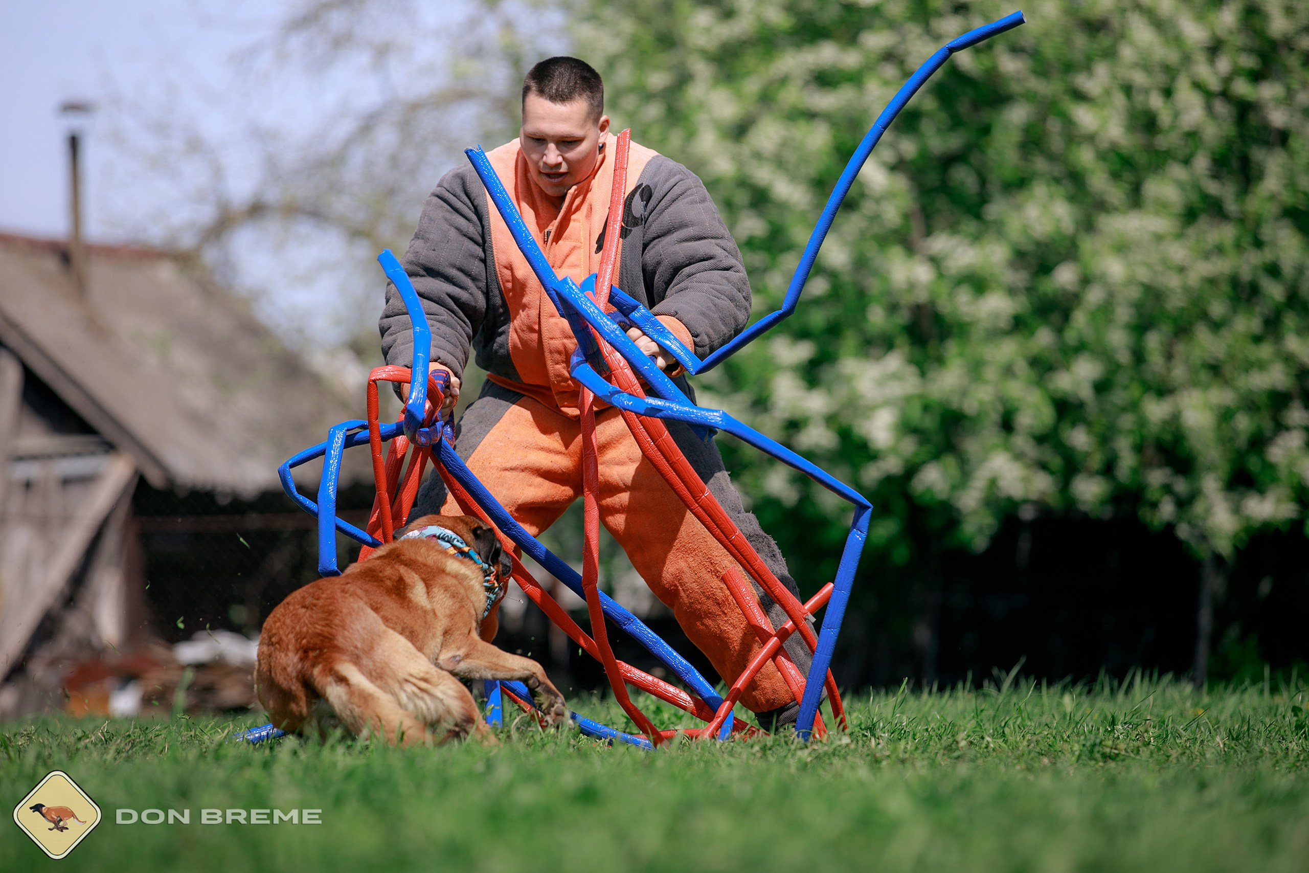 Семинар для фигурантов, день 4. Фотограф-анималист Mary Mart — Москва, Питер