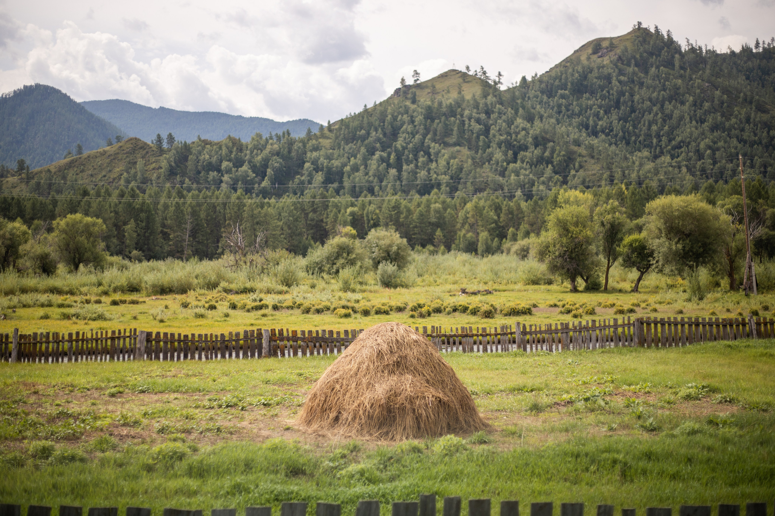 Altai Republic, Russia. Photographer Alina Skitovich