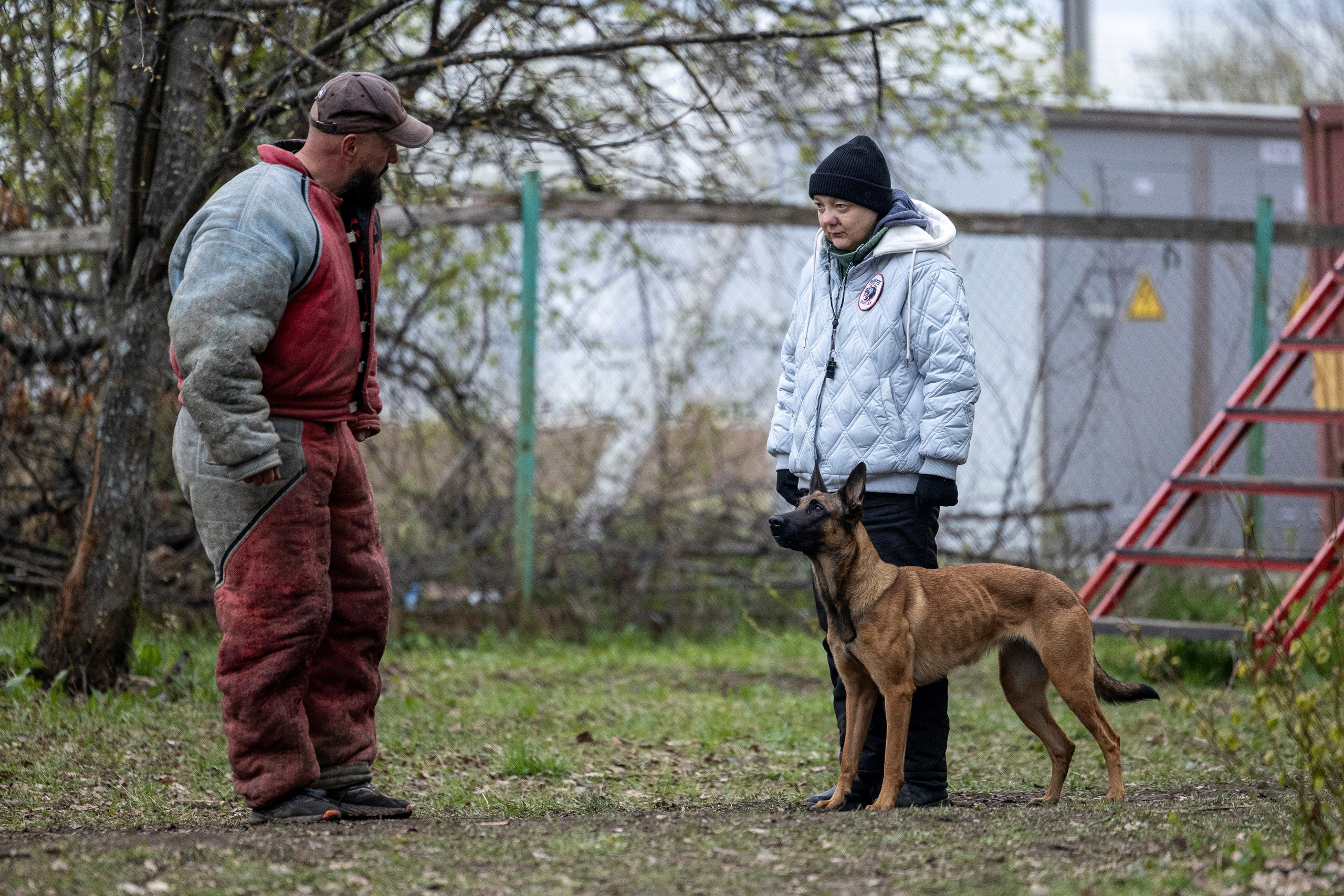 Квалификационные состязания по мондьорингу г. Вологда 11.05.24. Фотограф-анималист Анна Маринич