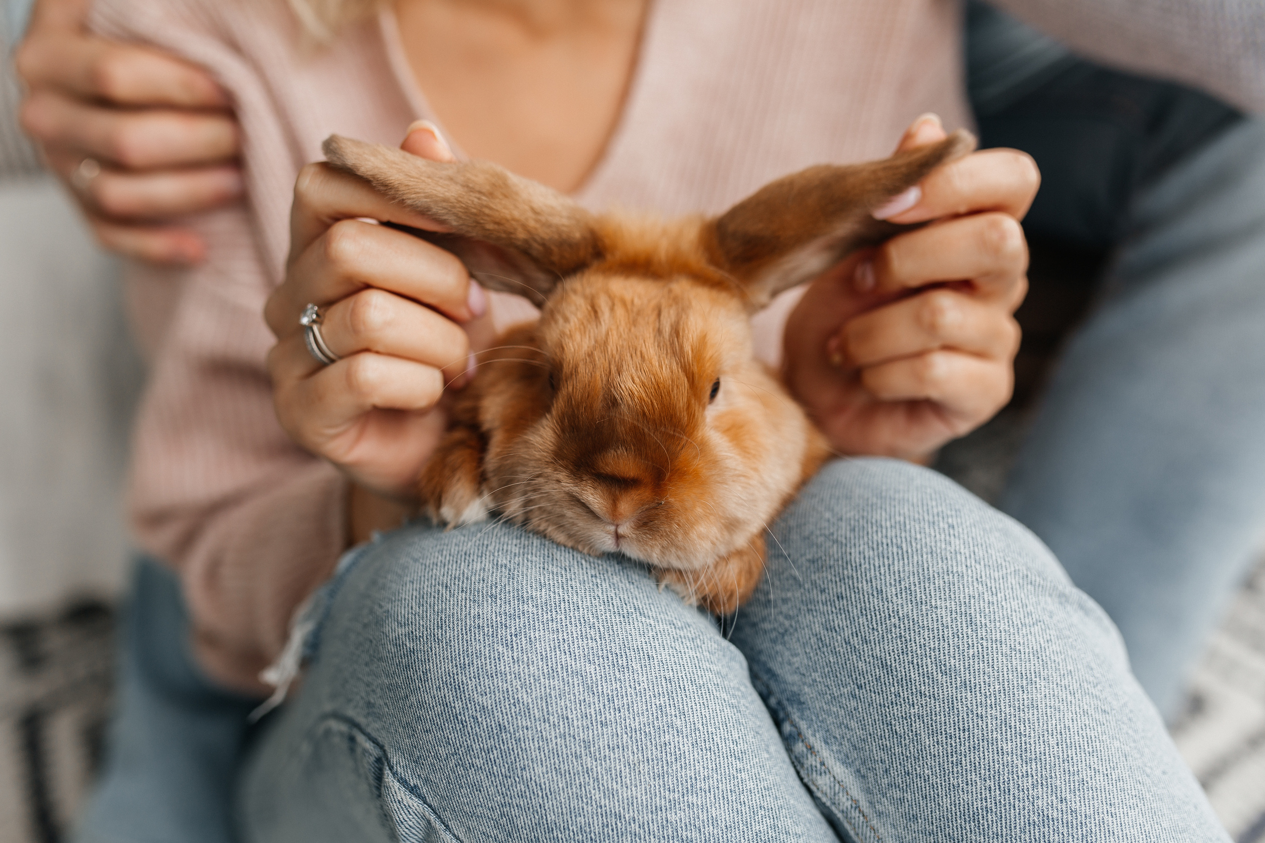 15.09.2019 History of one family. Воркшопы для фотографов в Москве и по всей России