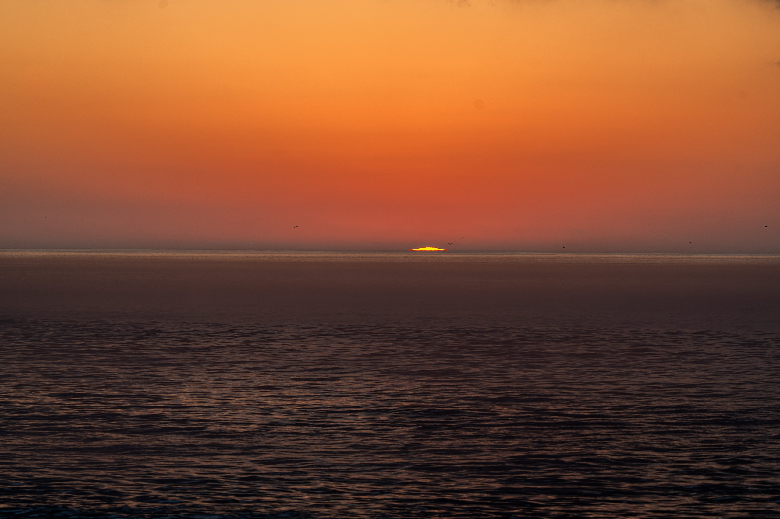 Сахалин 2025. Творческие сьемки