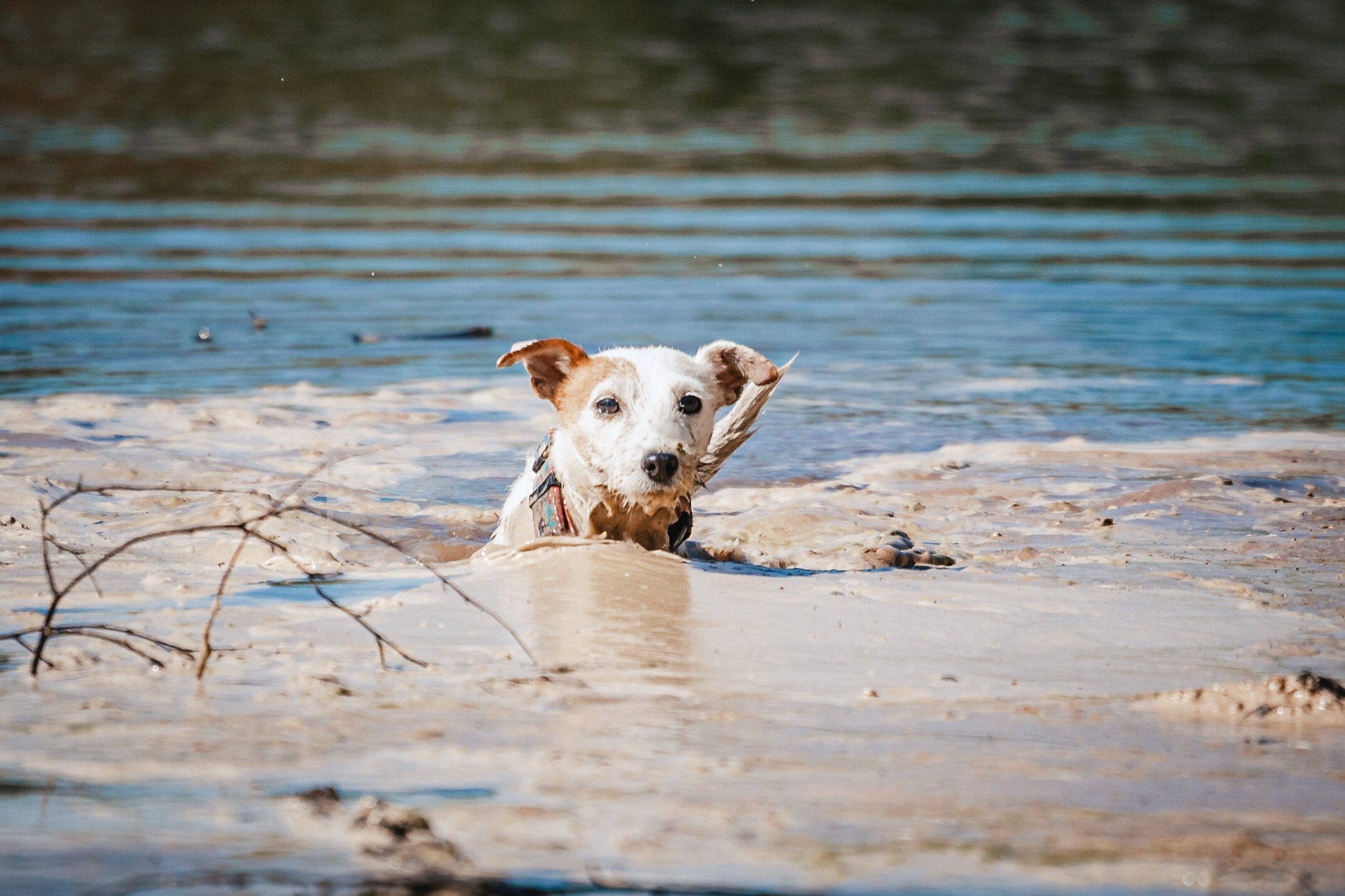 Кондуки. Фотограф-анималист Татьяна Степанова