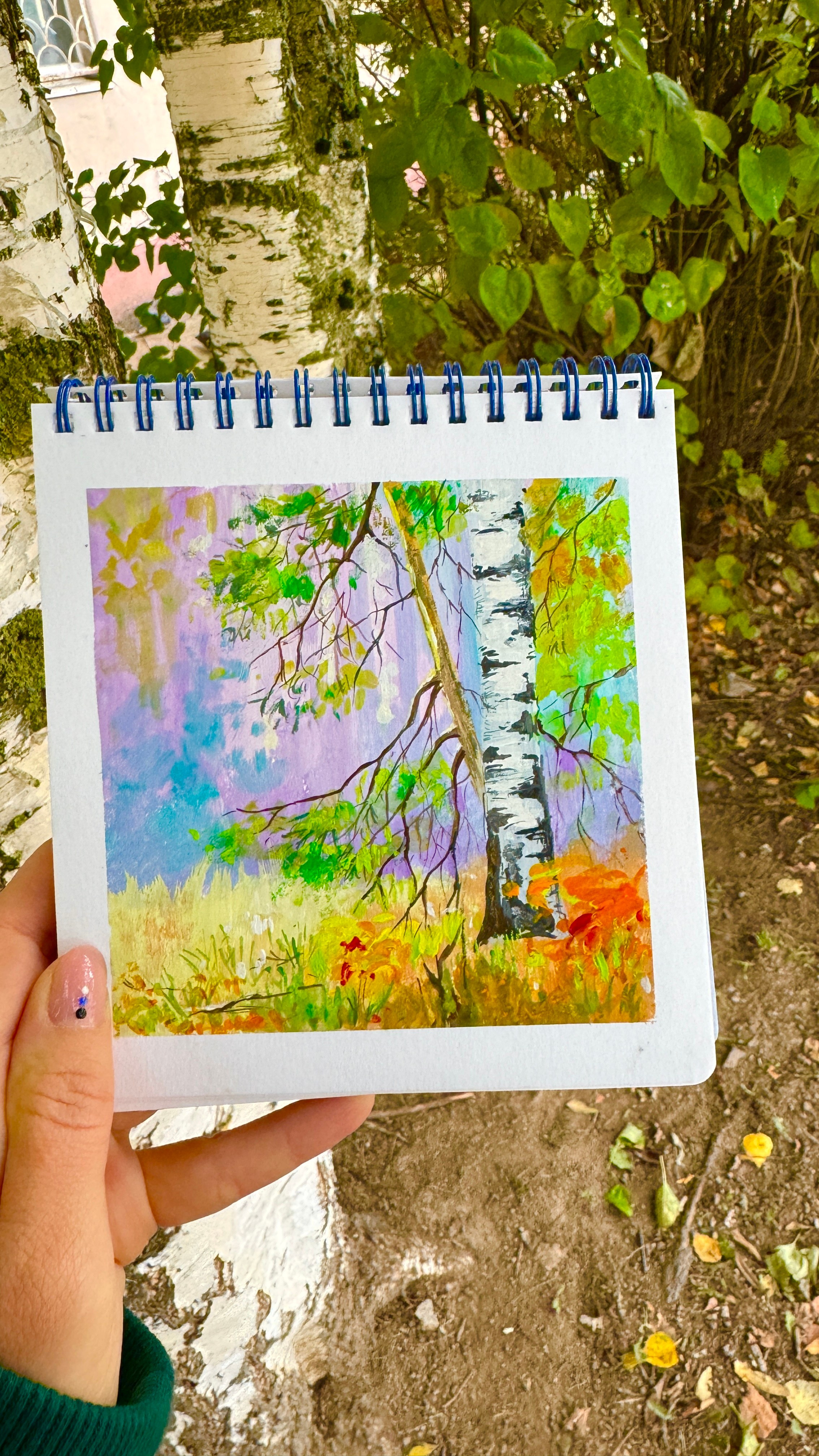 Живопись. Фотограф в Санкт-Петербурге