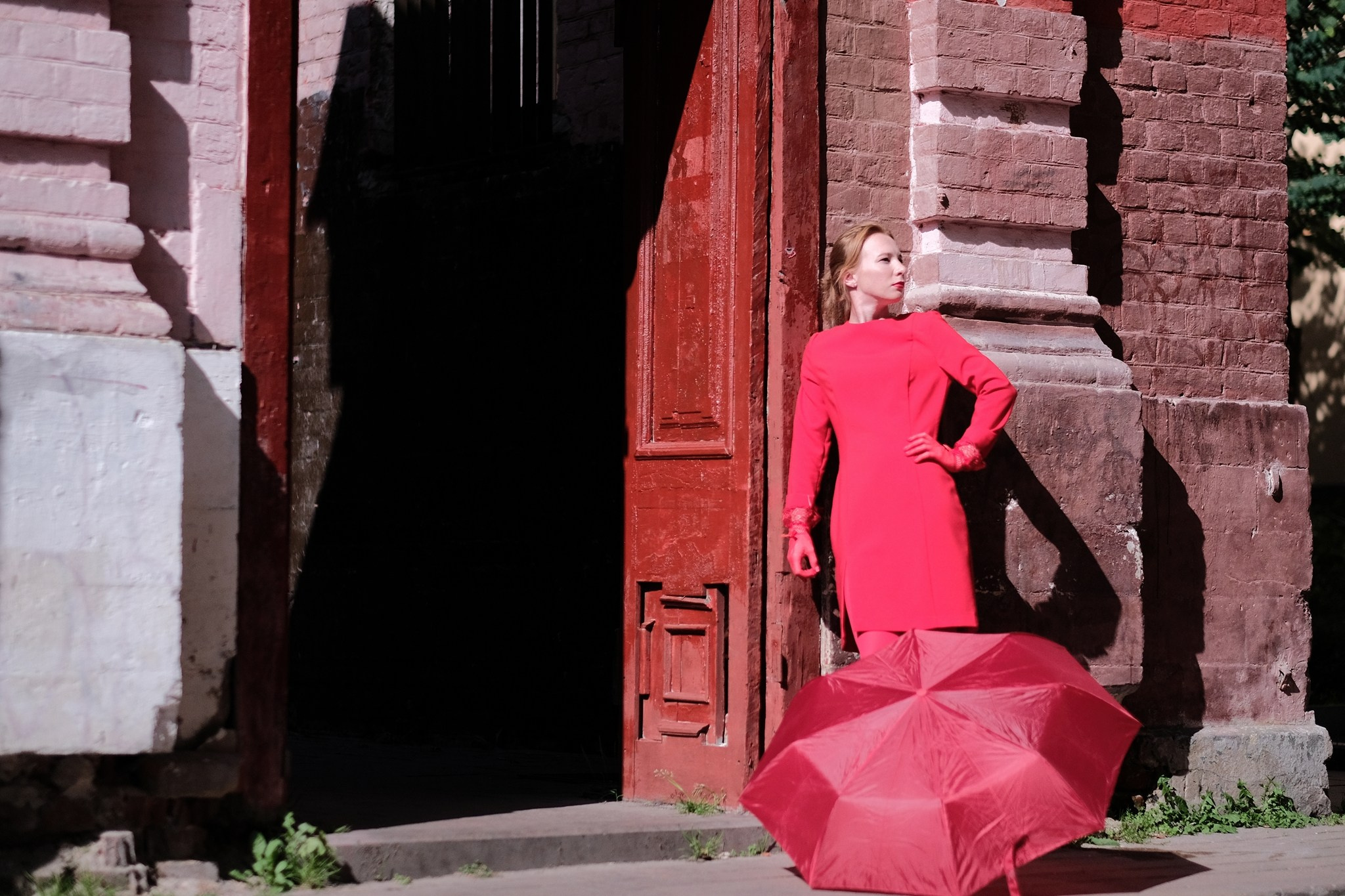 Lady in Red. Дмитрий Бречалов