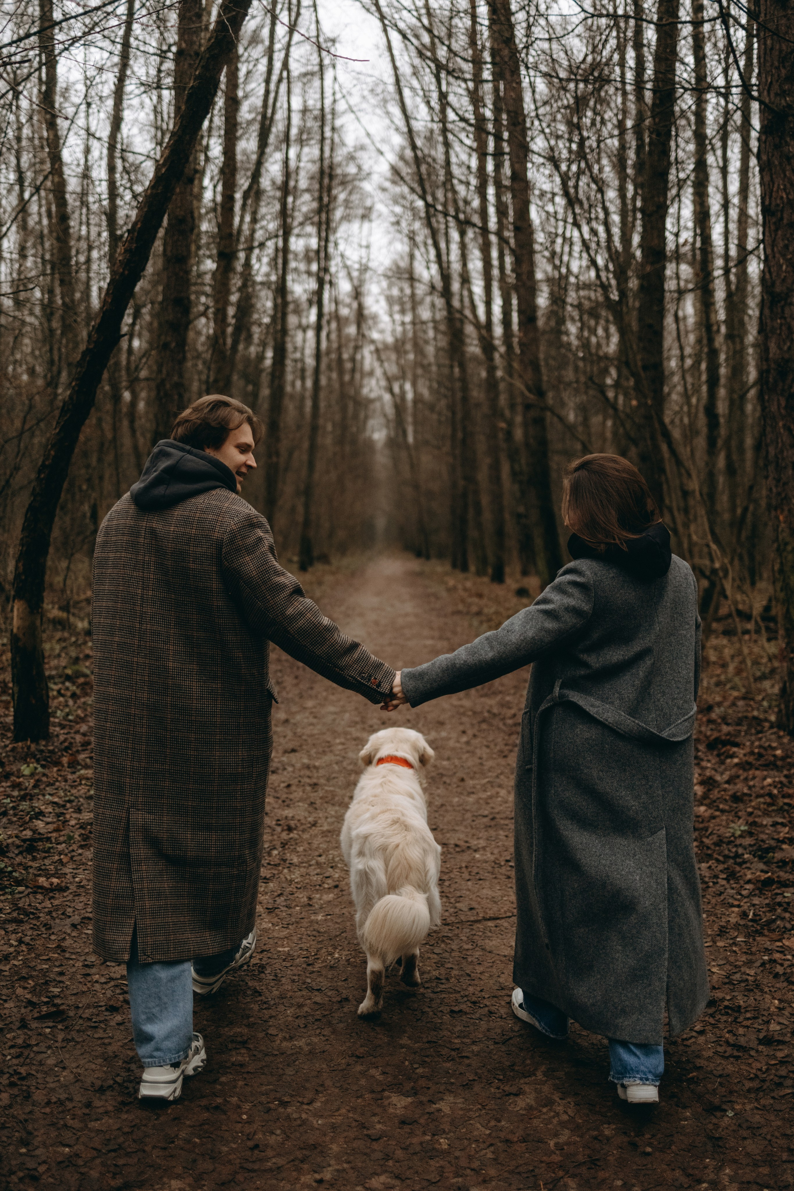 Лаки и его семья. Фотограф — Анималист | Санкт-Петербург