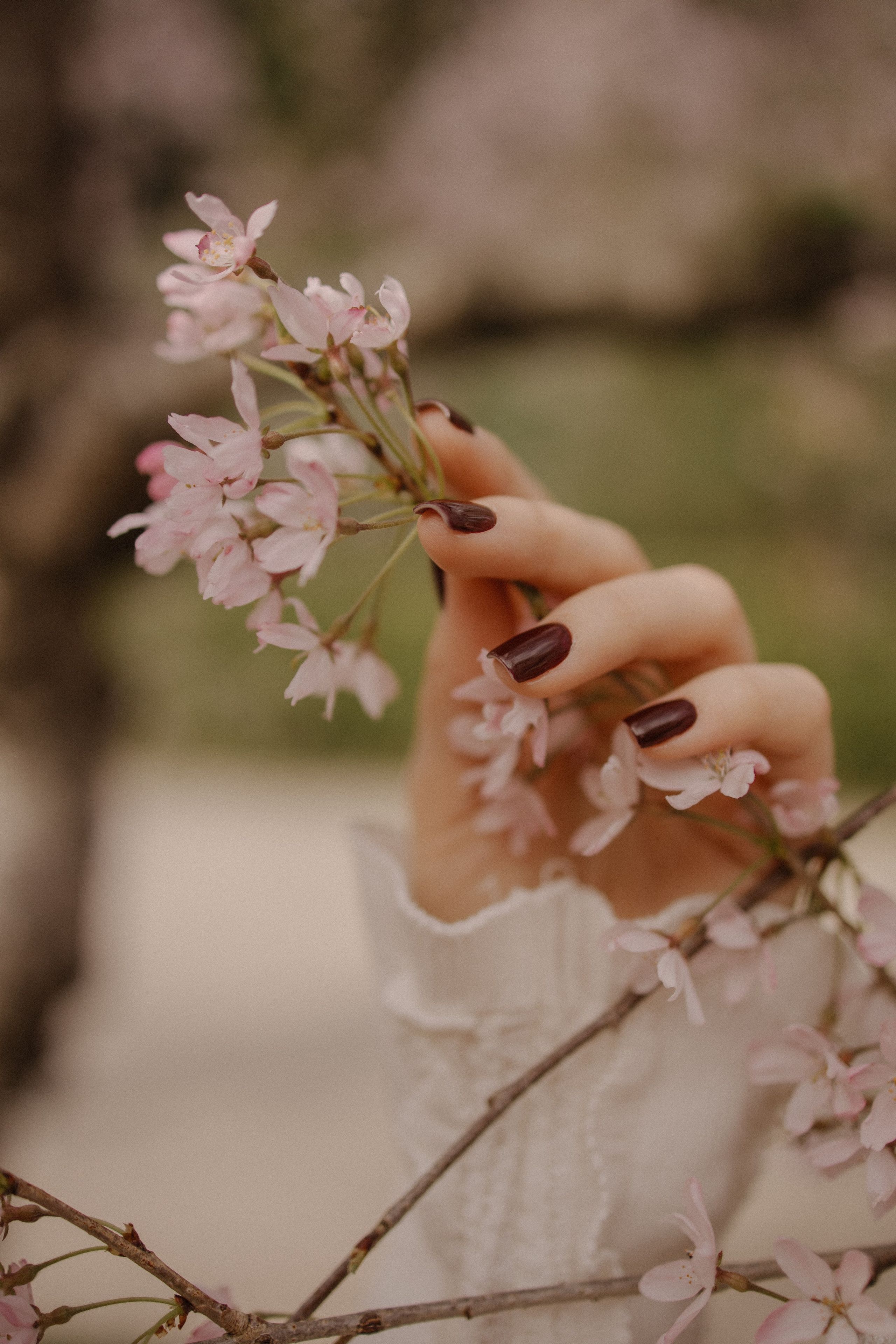 Света в сакуре. Фотограф Сочи Адлер Сириус Красная поляна Олеся Минив