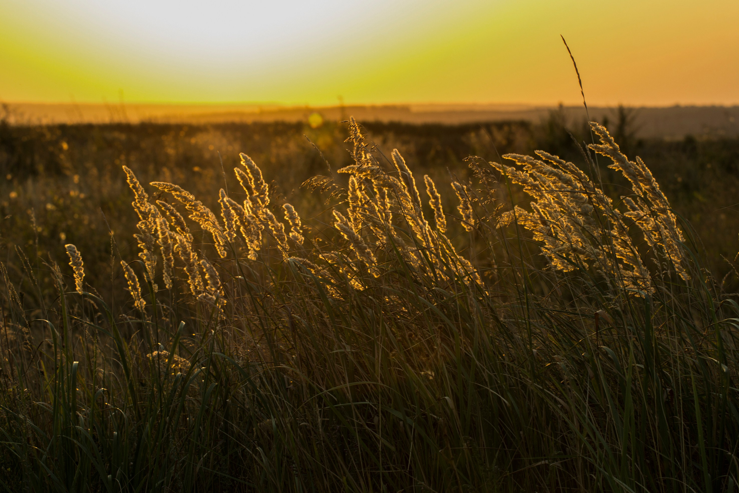 Природа. Команда фотографов Кристины Ивановой