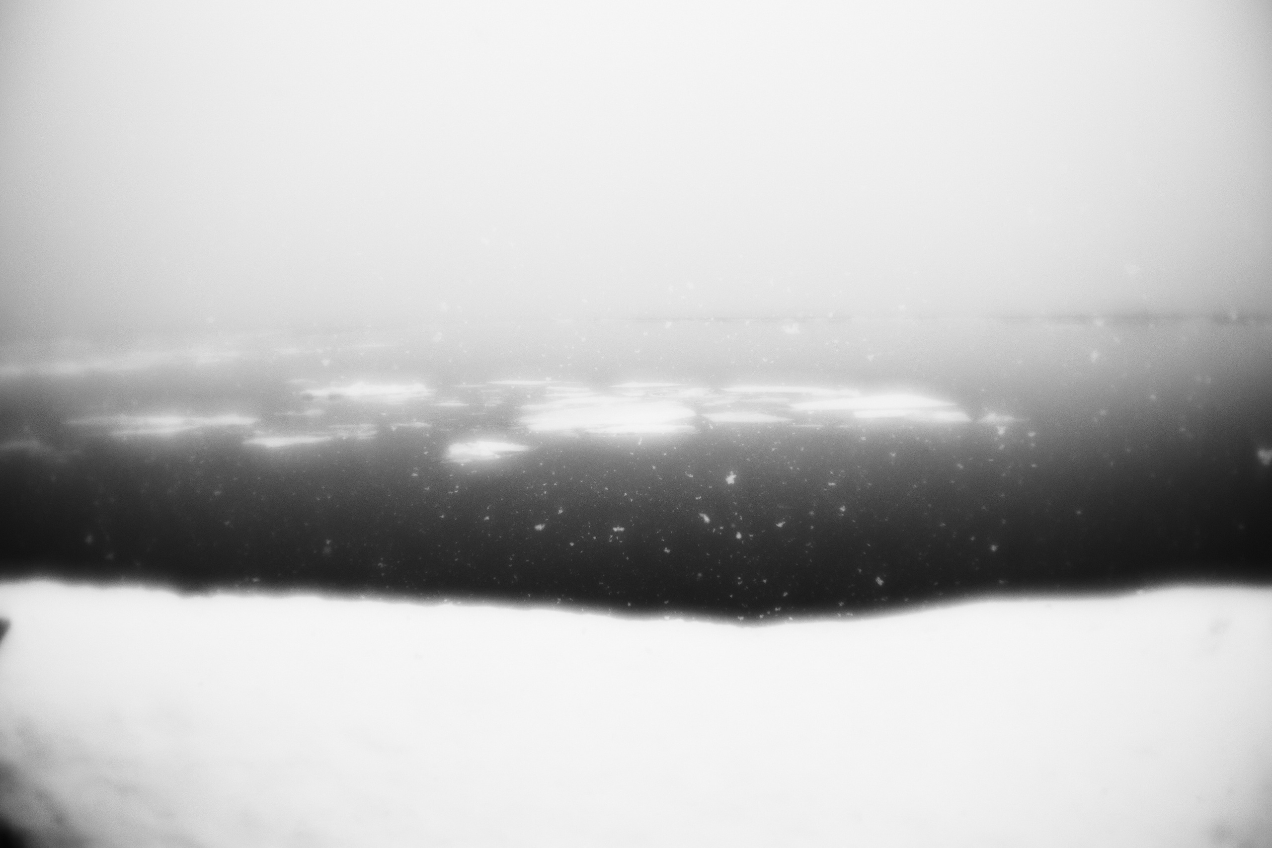 Белоснежность. Фотограф в Мурманске Оксана Черноморец