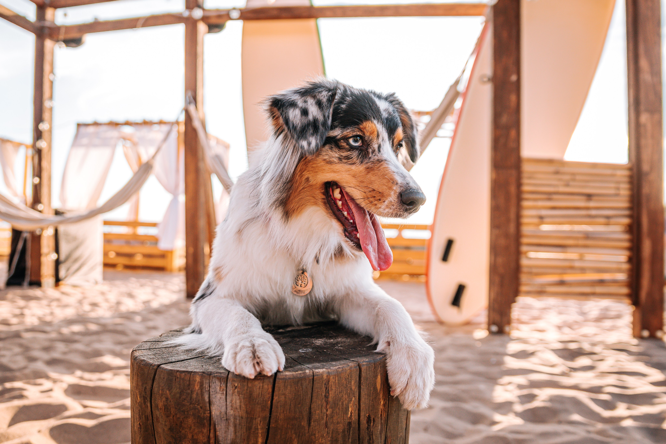 No Bad Days. Главная