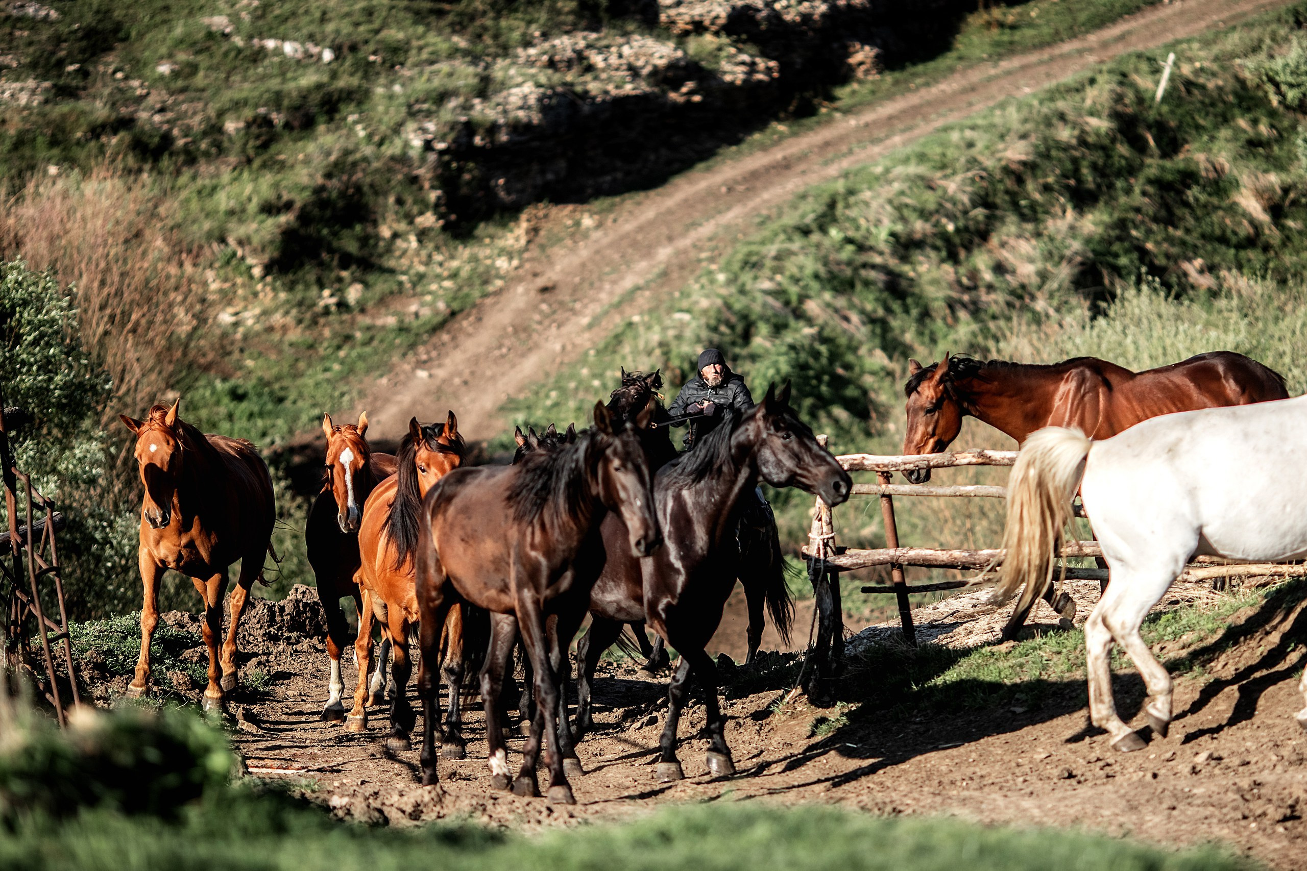 КЧР май'24. BrisArts