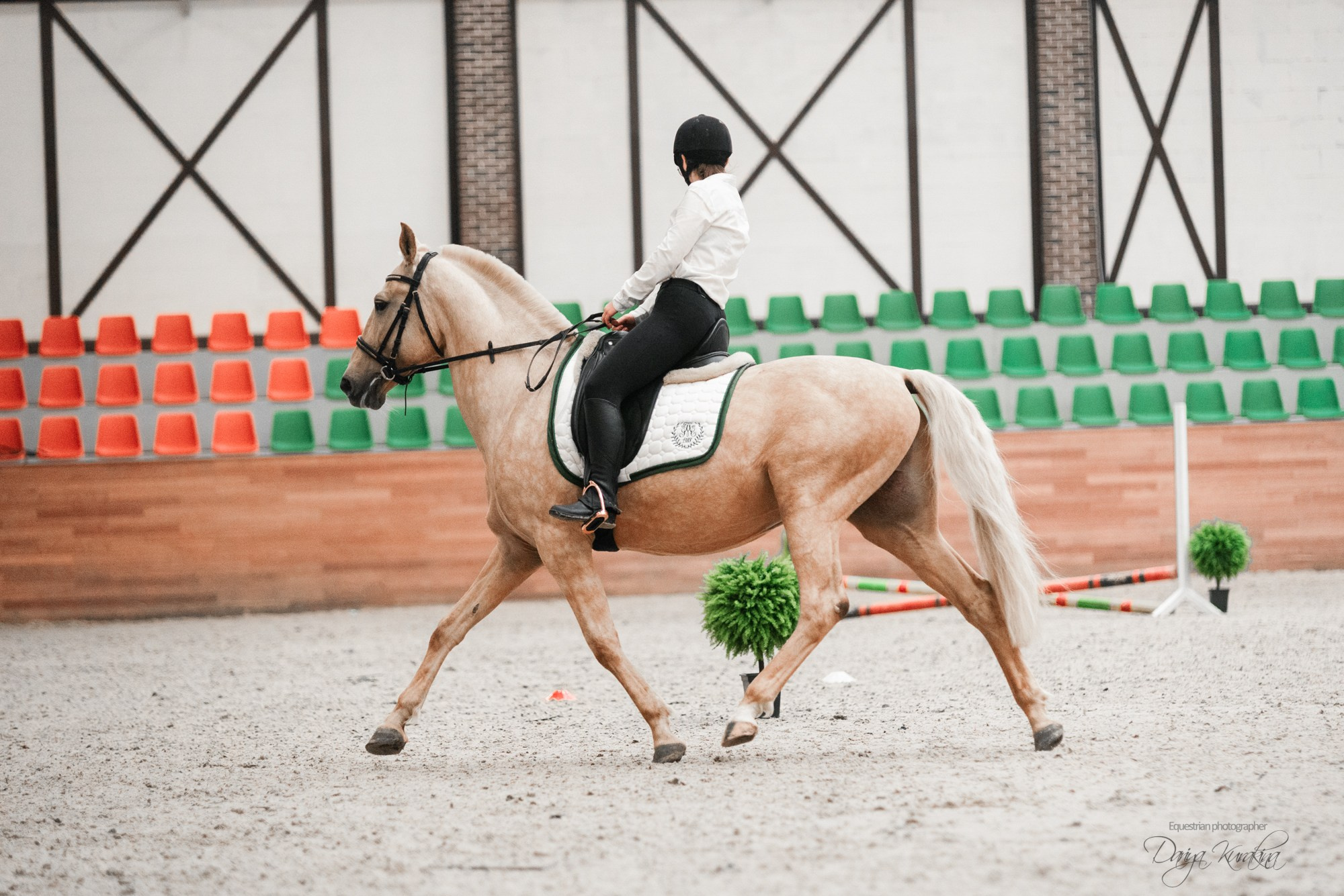 8-я международная выставка Конная Россия. Конный фотограф Куракина Дарья • Фотосессии с лошадьми