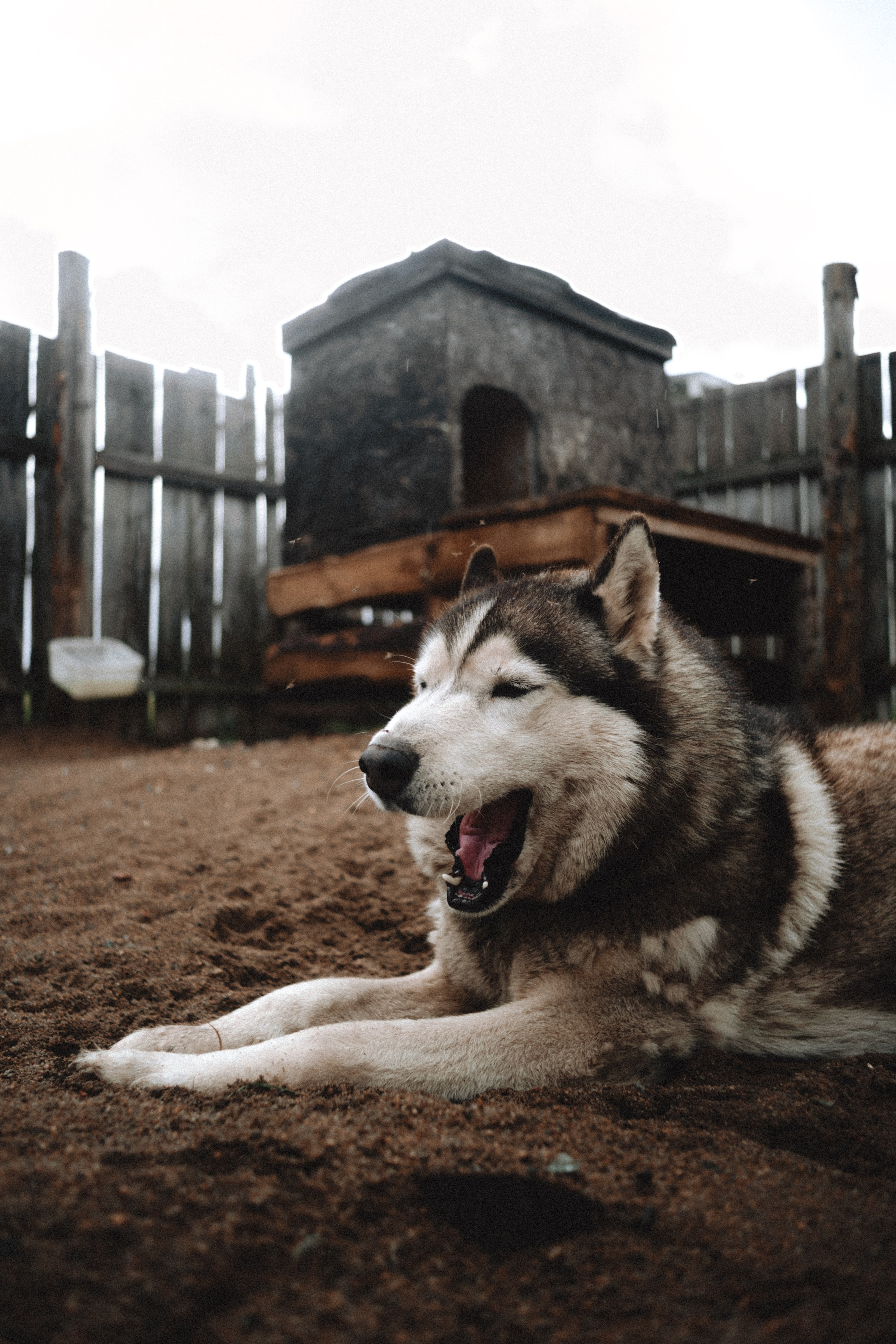 Териберка, Мурманск. Фотосъёмка для компании по организации туров в коллаборации с Яндекс 360