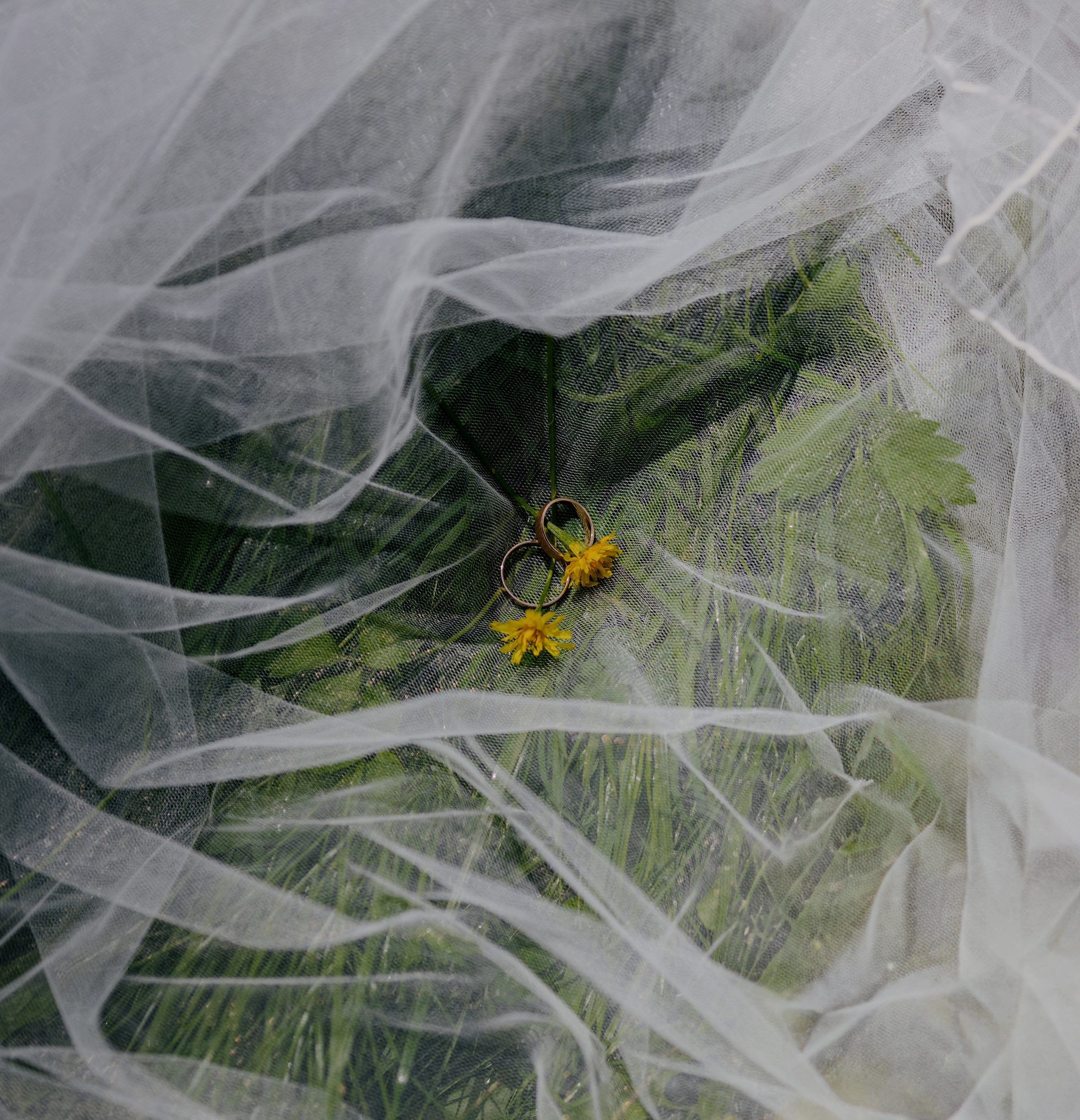 Фотограф Лиана Сафарова. Свадебные, портретные, парные съёмки