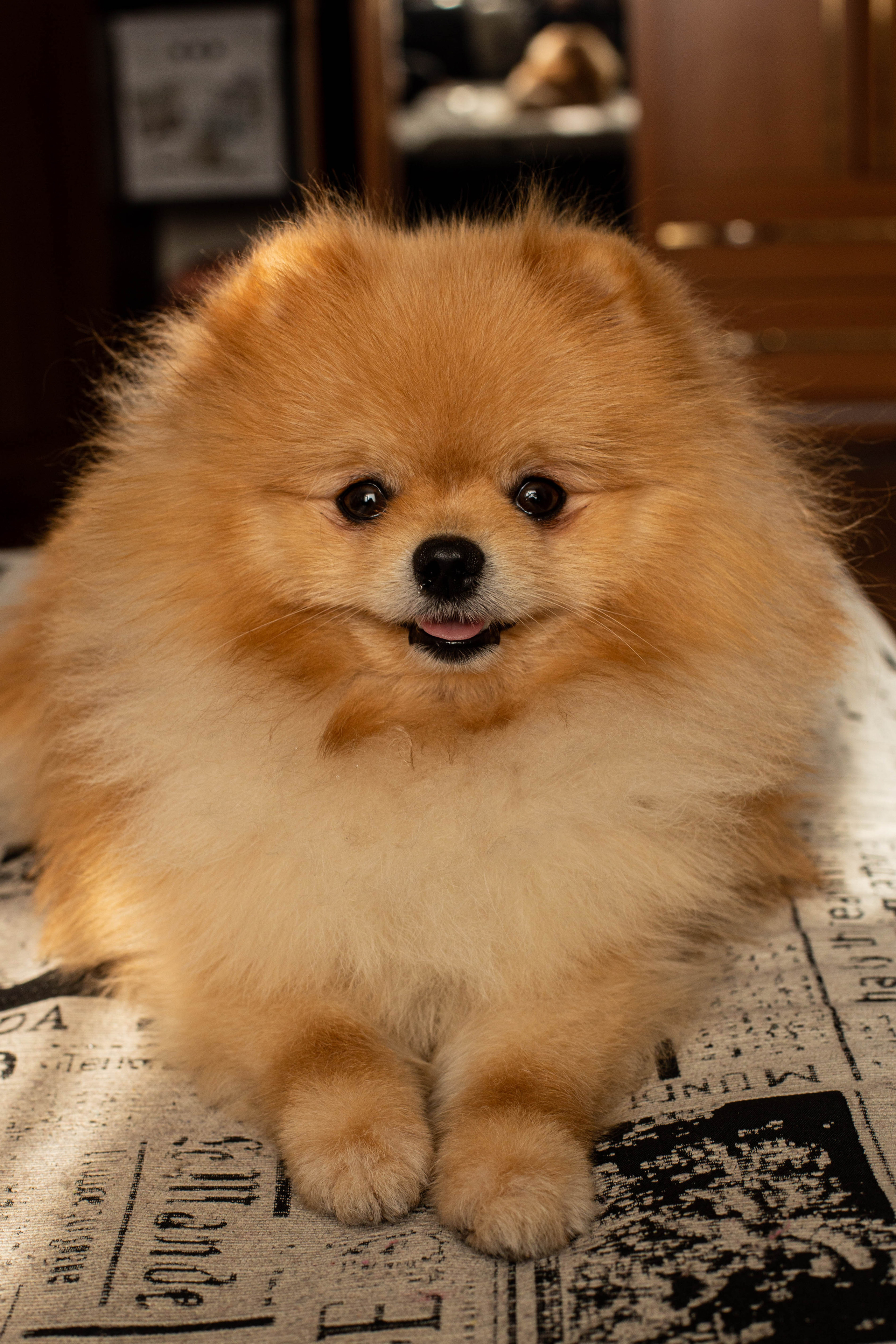 Екатерина с семьей. Репортажный фотограф в Тюмени Татьяна Мужева